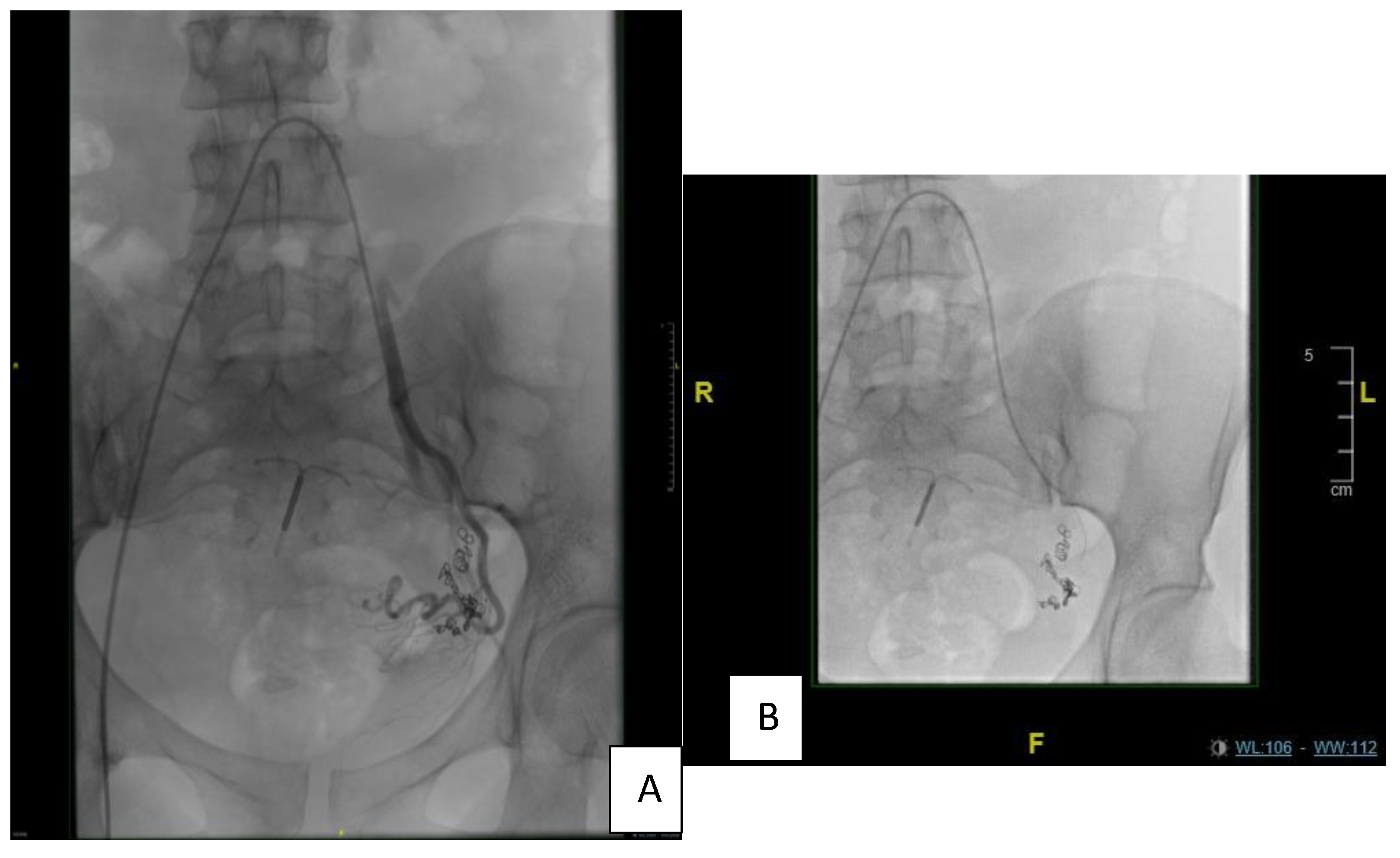 Diagnostics 13 00875 g003