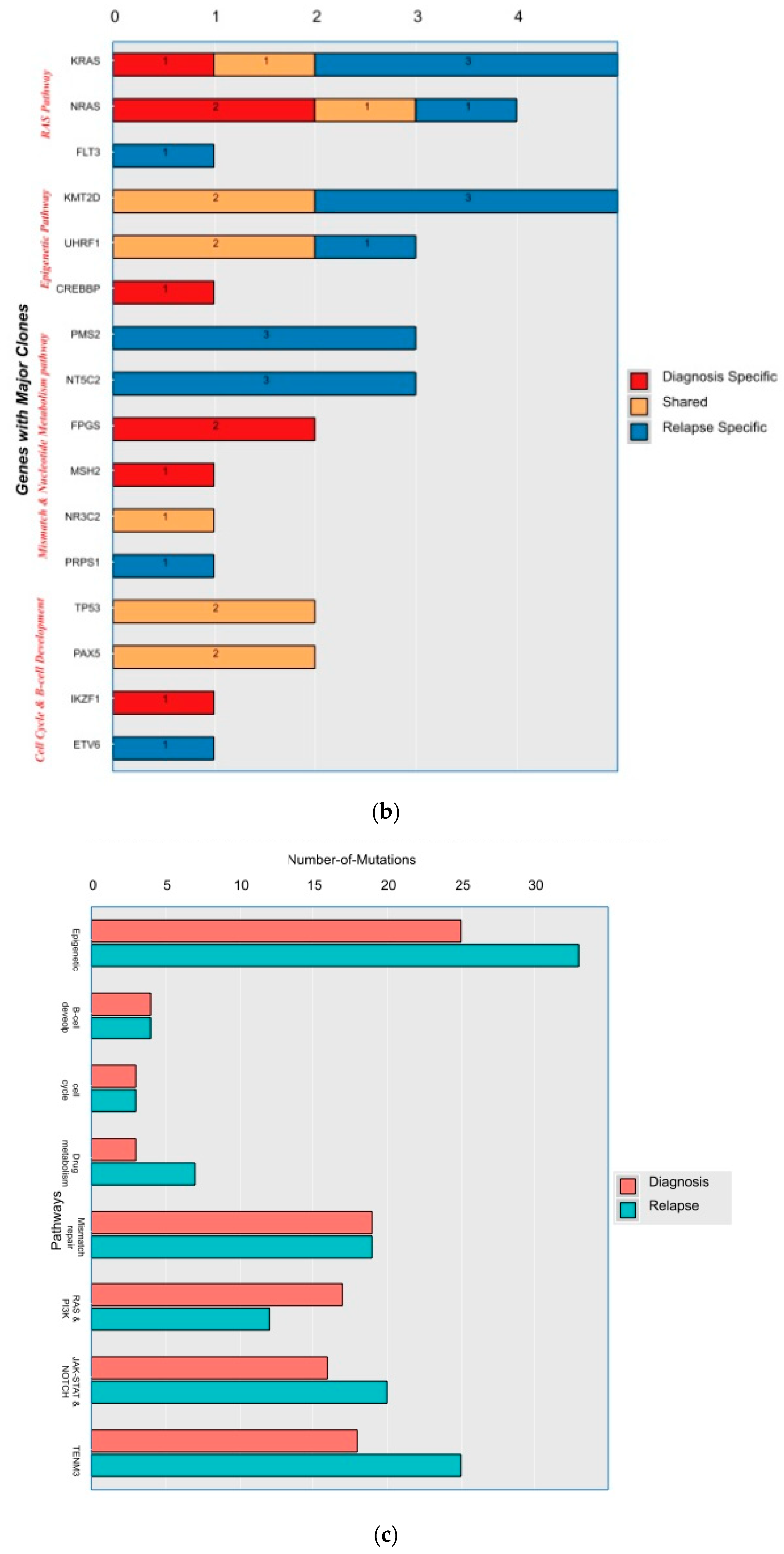 Diagnostics 13 00884 g002b