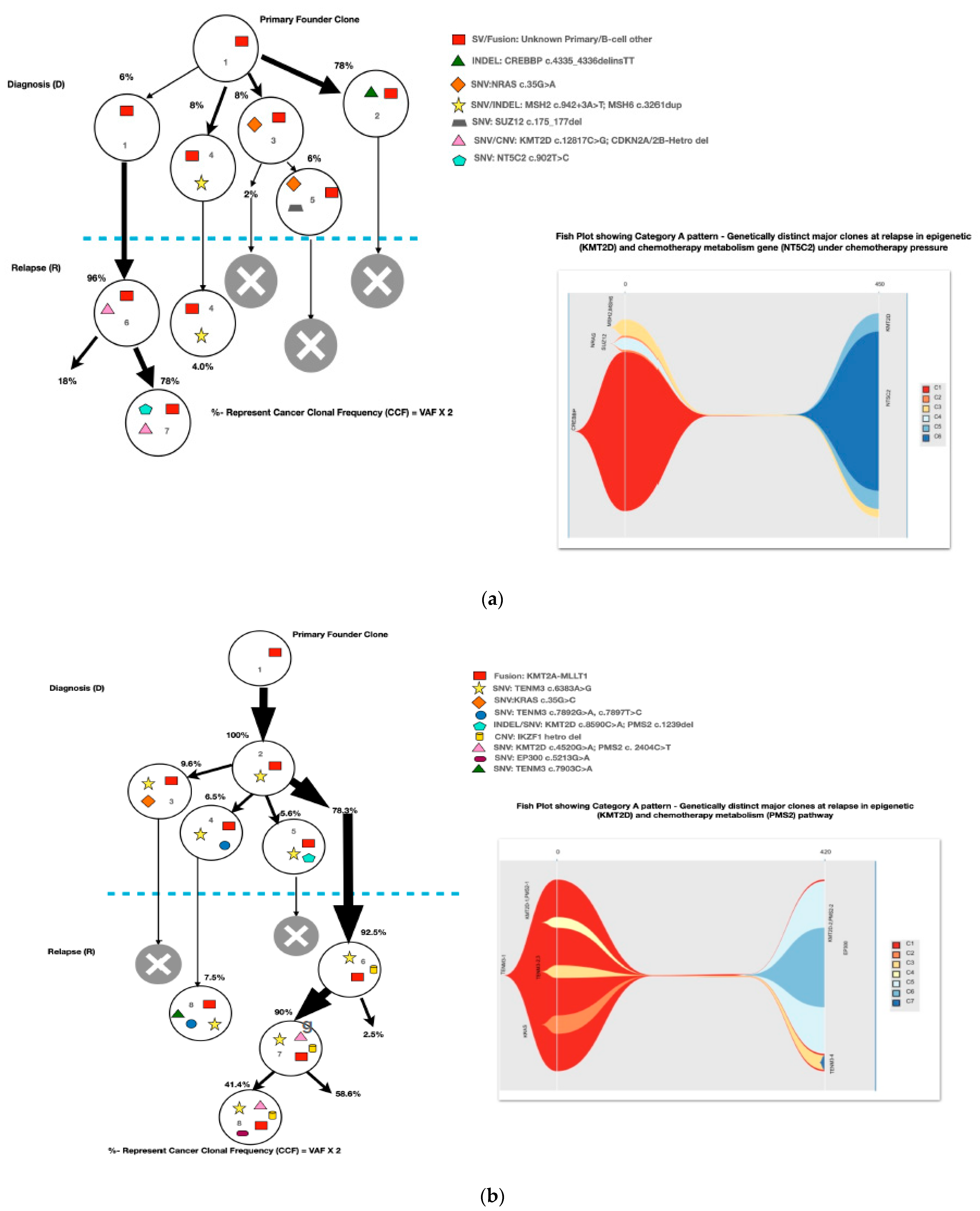 Diagnostics 13 00884 g003a