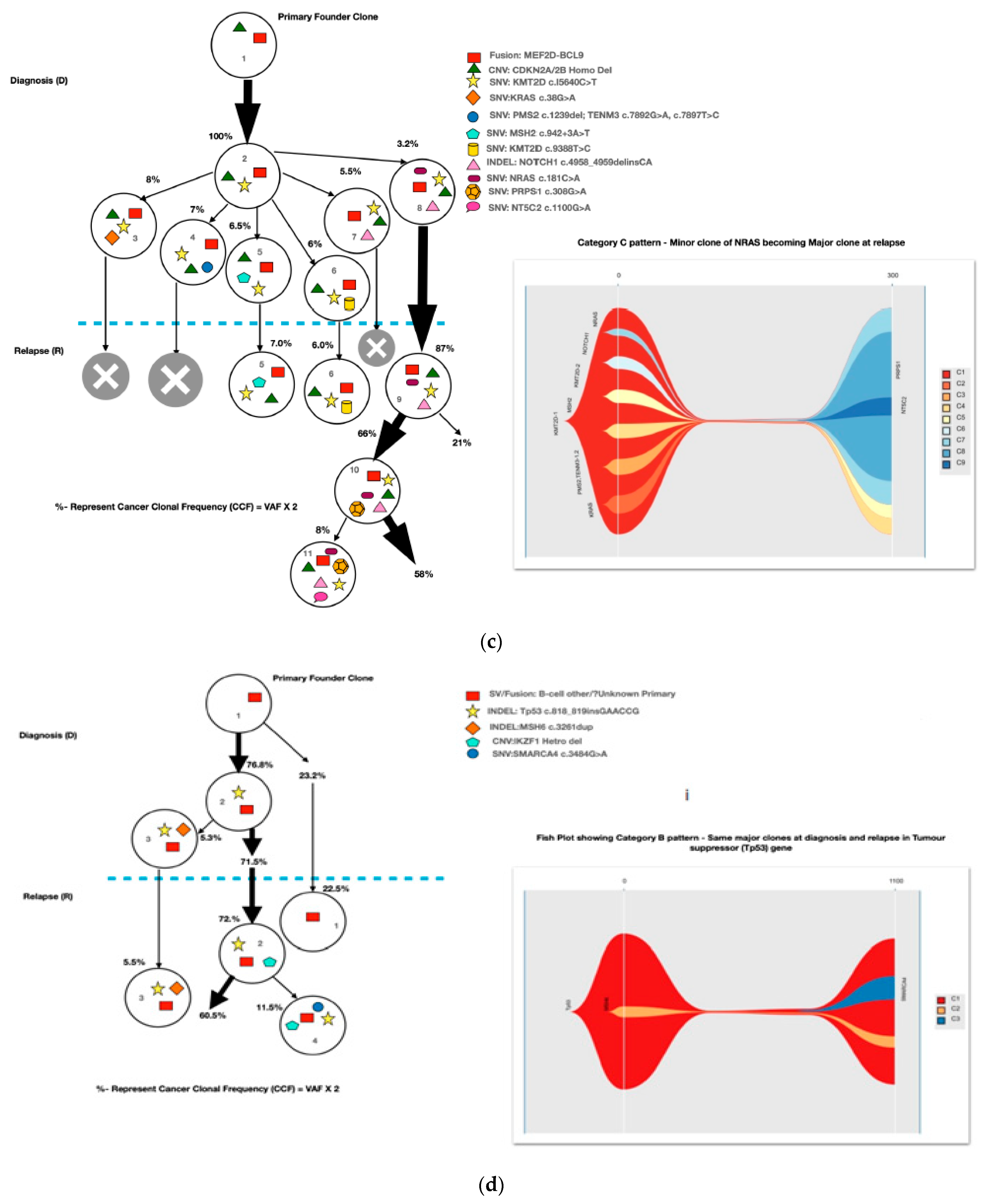 Diagnostics 13 00884 g003b