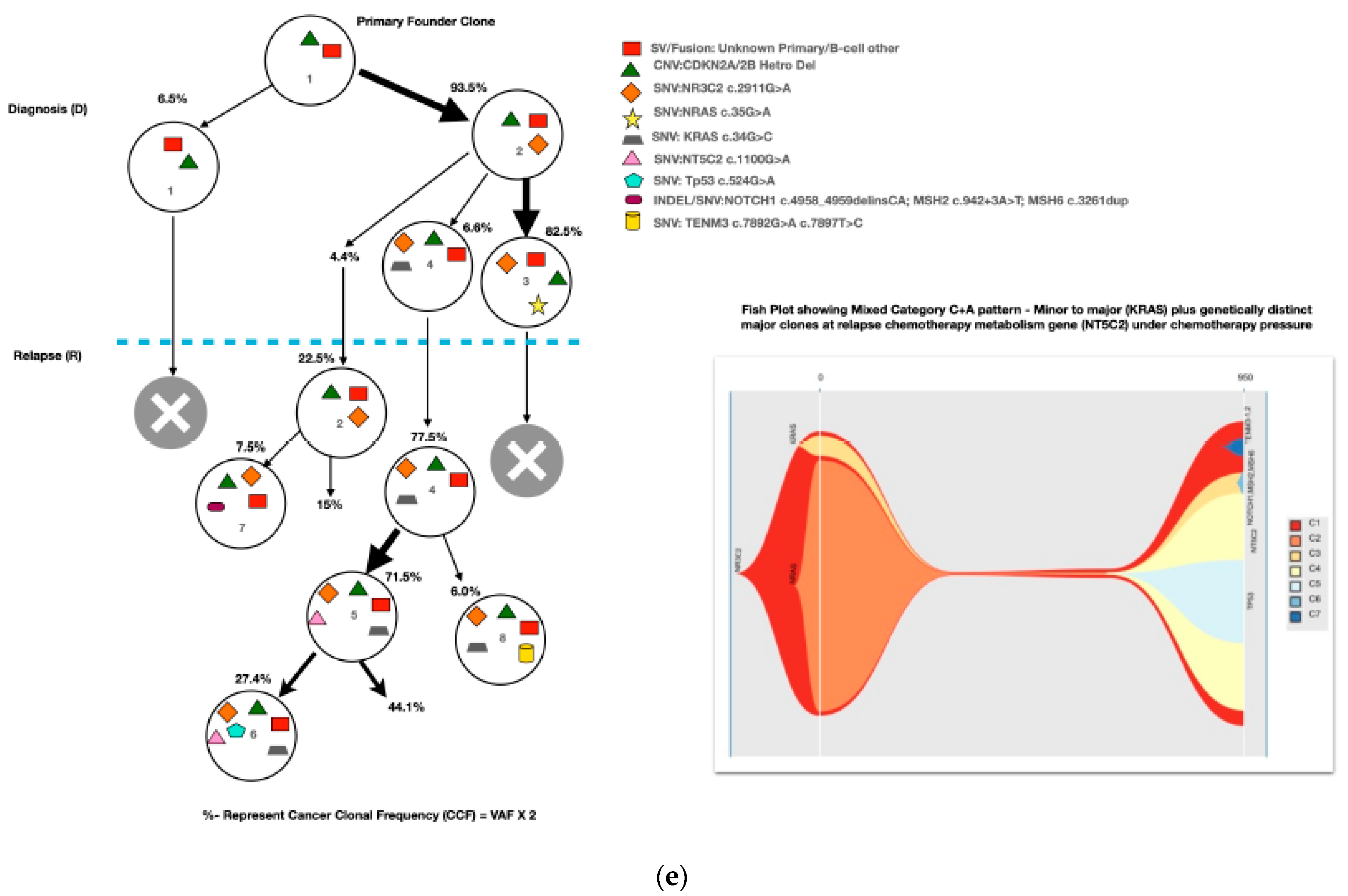 Diagnostics 13 00884 g003c