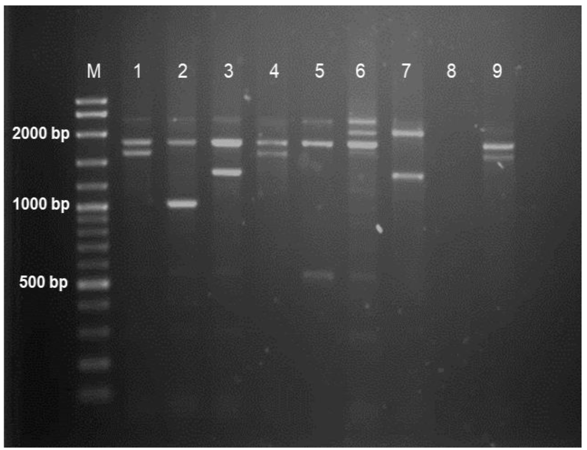 Diagnostics 13 00894 g001 Diagnostics 13 00894 g001