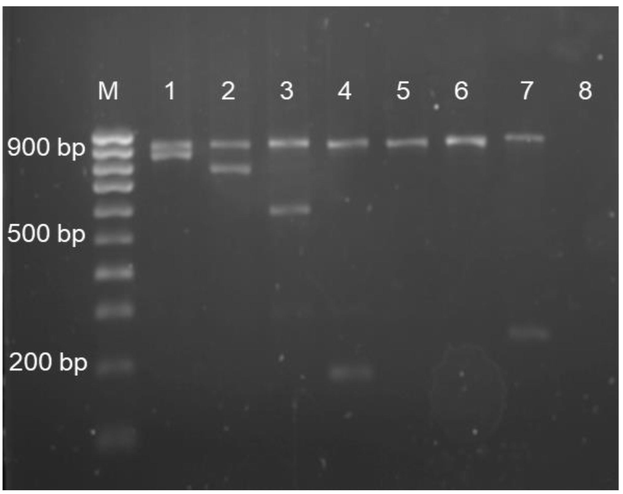 Diagnostics 13 00894 g002 Diagnostics 13 00894 g002