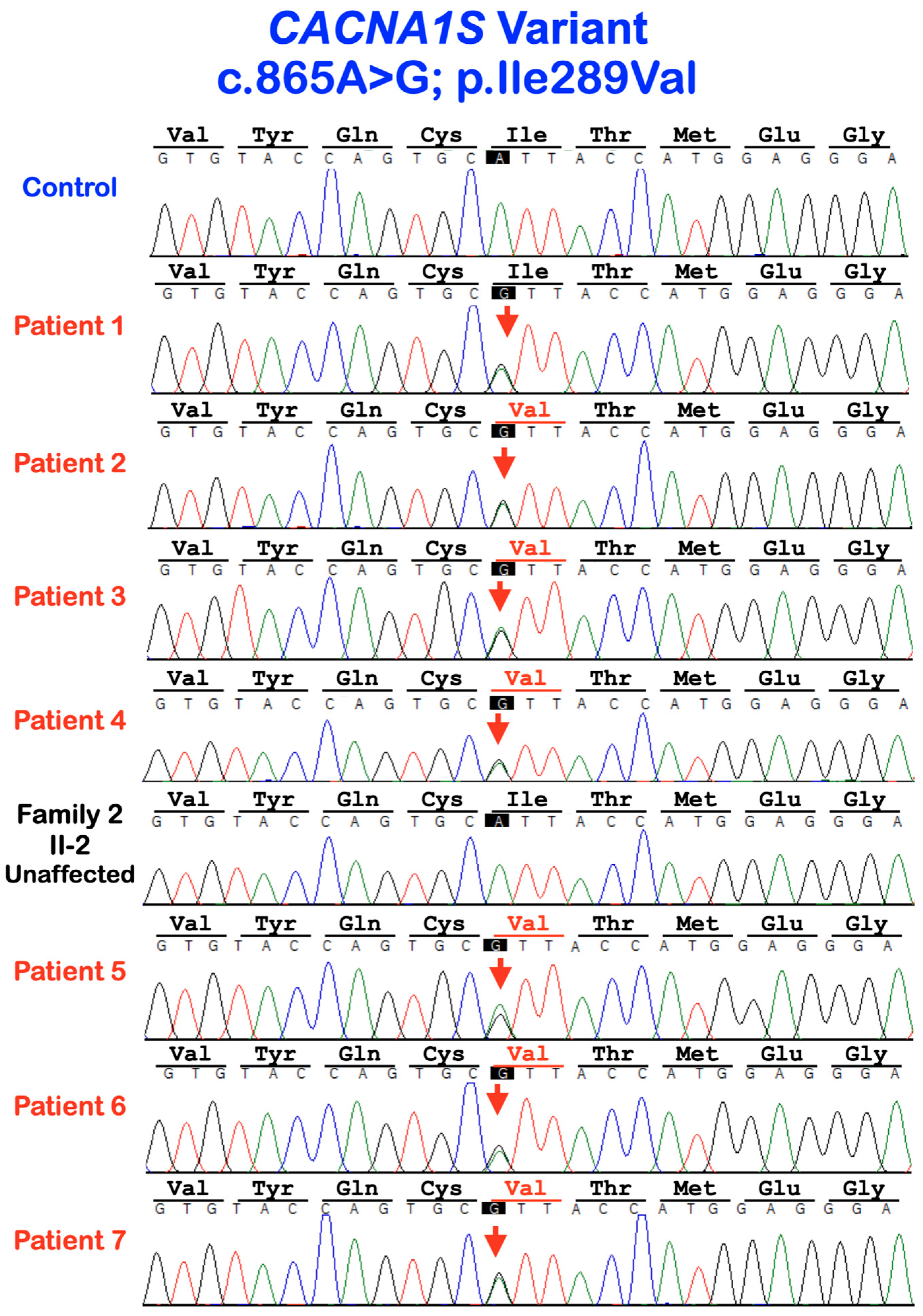 Diagnostics 13 00895 g007 Diagnostics 13 00895 g007