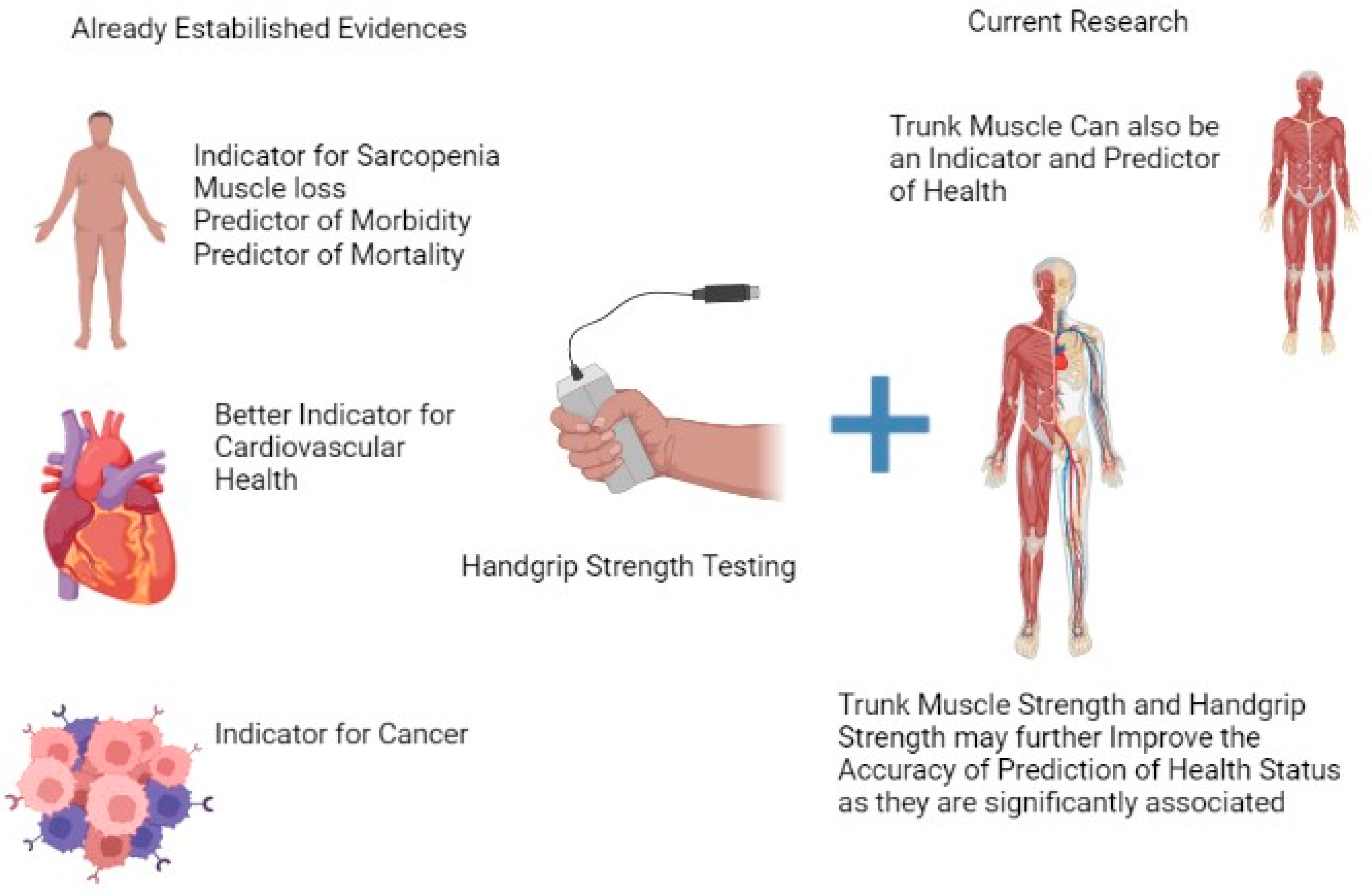 Diagnostics 13 00904 g002