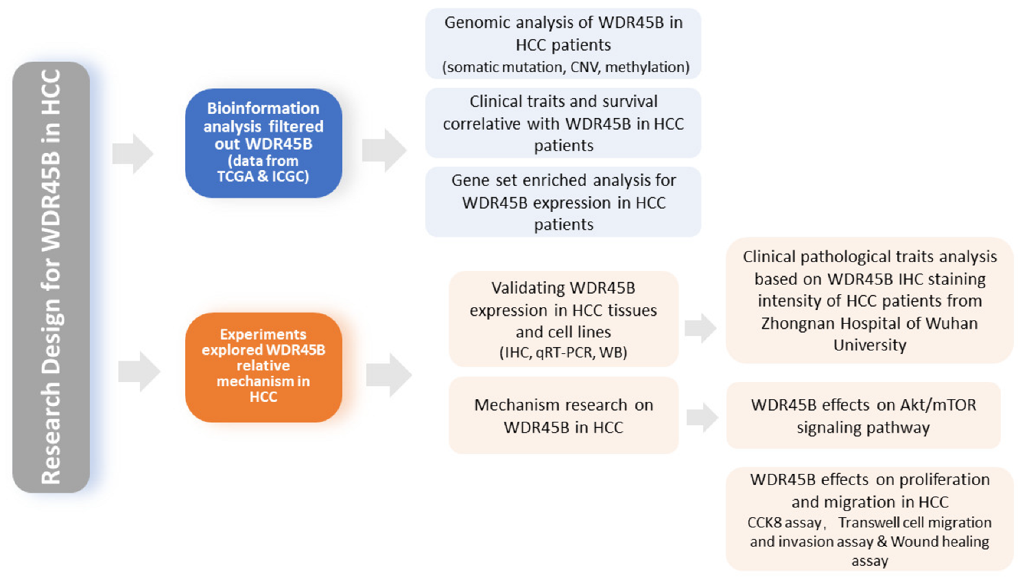 Diagnostics 13 00906 g001 Diagnostics 13 00906 g001