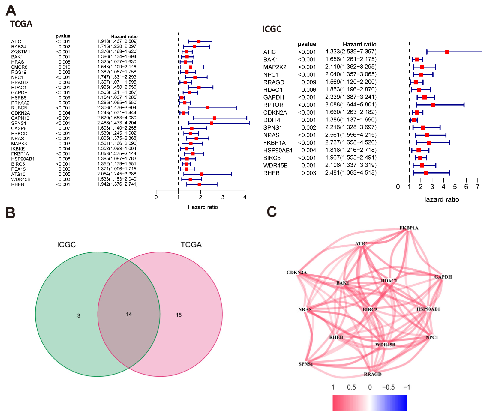 Diagnostics 13 00906 g002 Diagnostics 13 00906 g002
