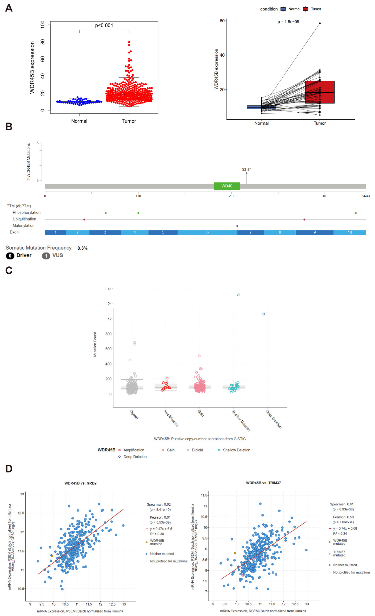 Diagnostics 13 00906 g003a Diagnostics 13 00906 g003a