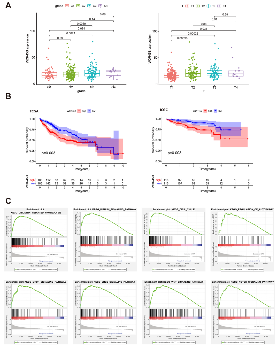 Diagnostics 13 00906 g004 Diagnostics 13 00906 g004