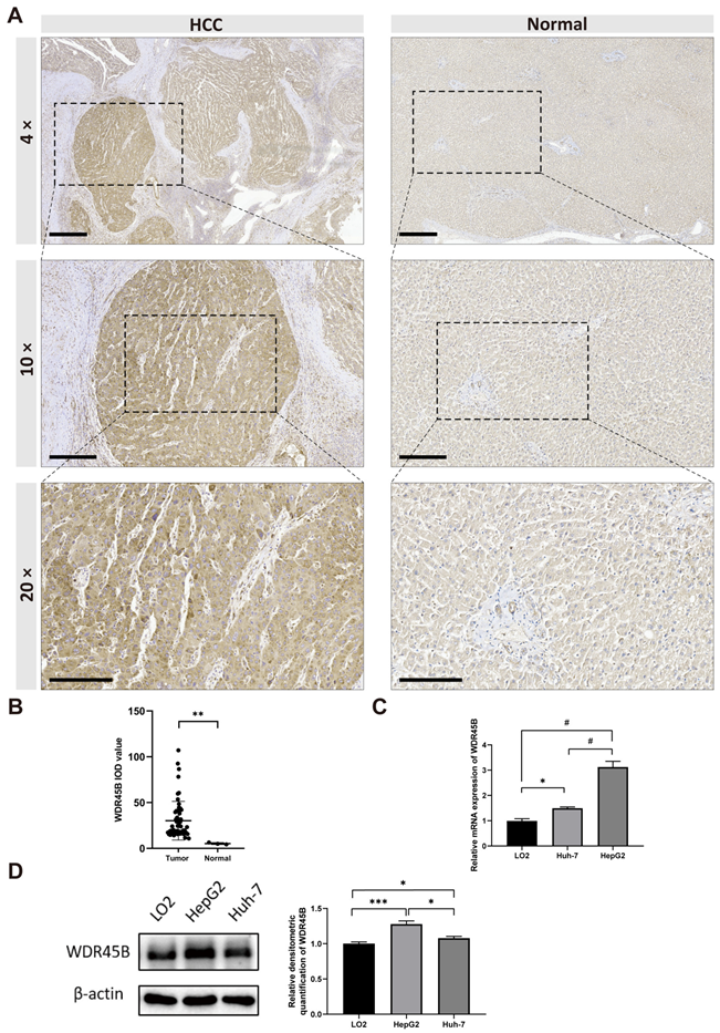 Diagnostics 13 00906 g005 Diagnostics 13 00906 g005