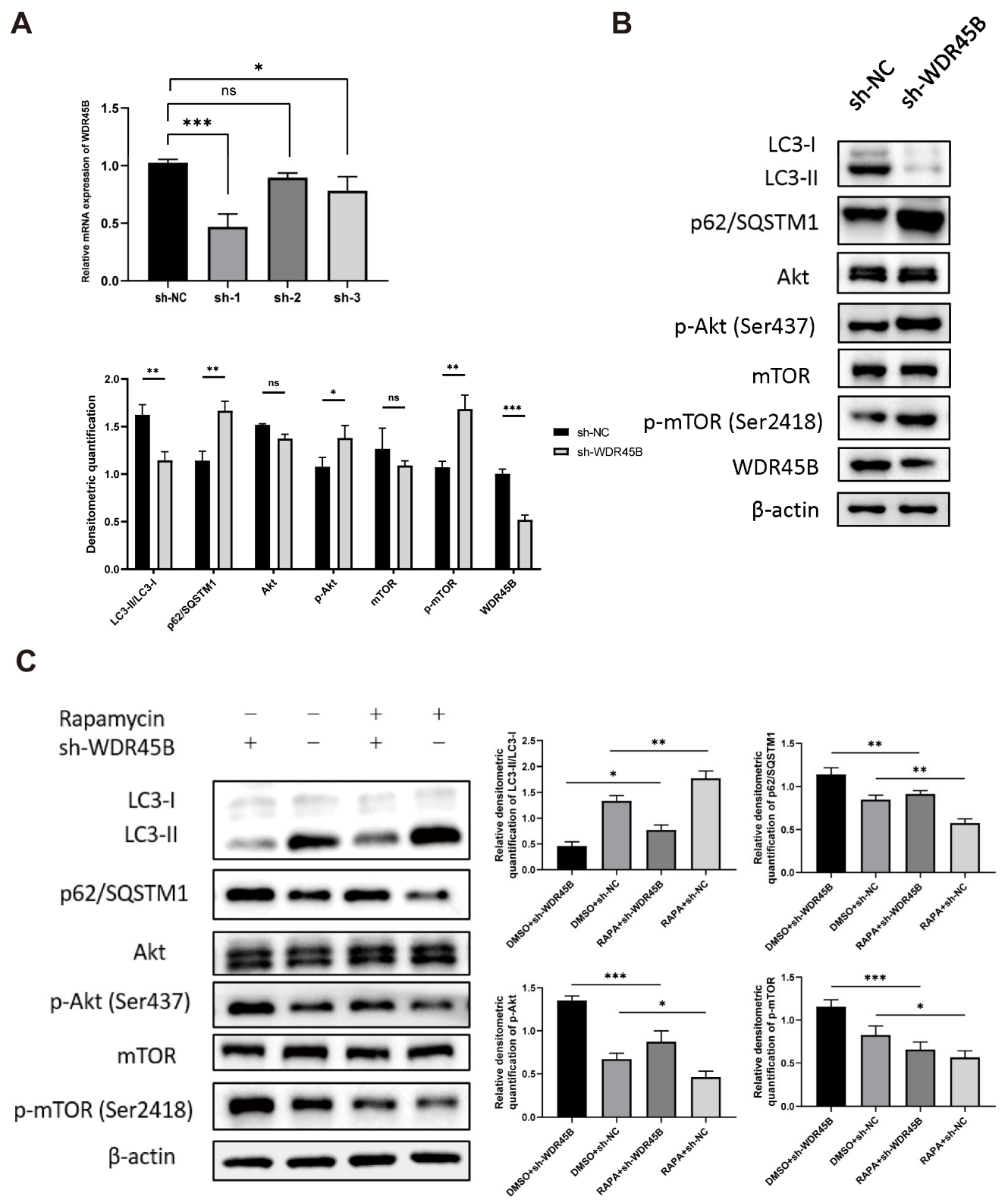 Diagnostics 13 00906 g006 Diagnostics 13 00906 g006