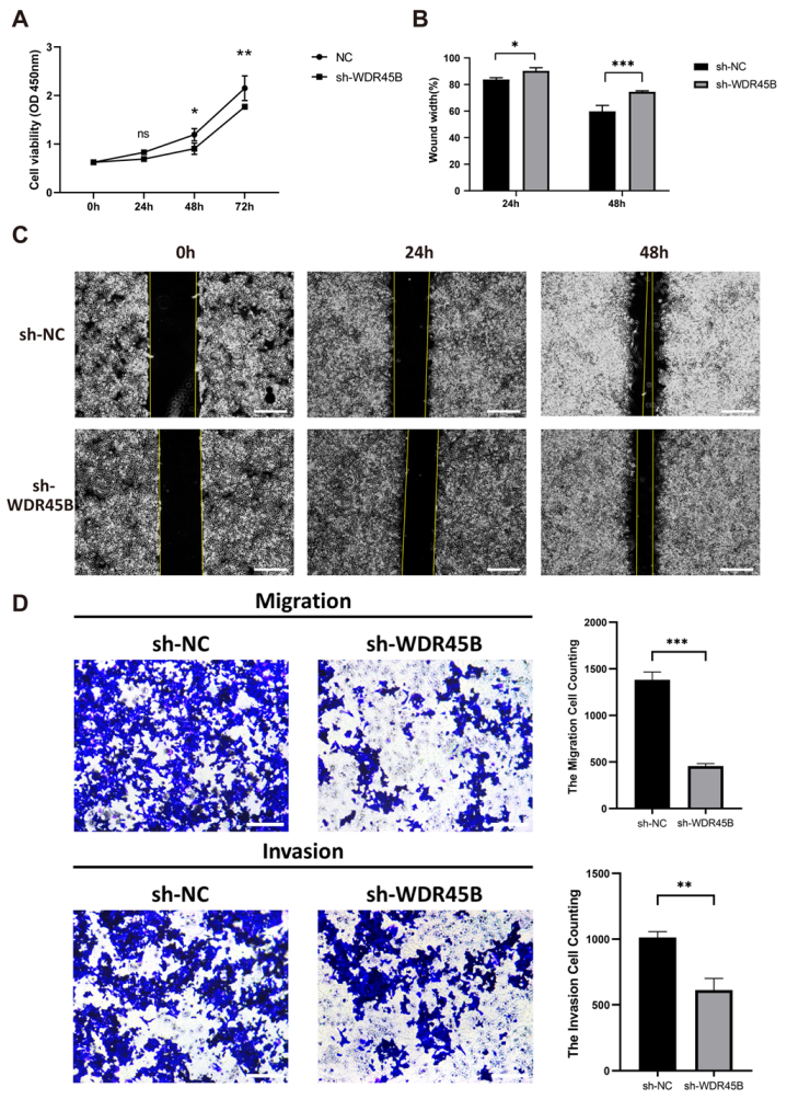 Diagnostics 13 00906 g007 Diagnostics 13 00906 g007