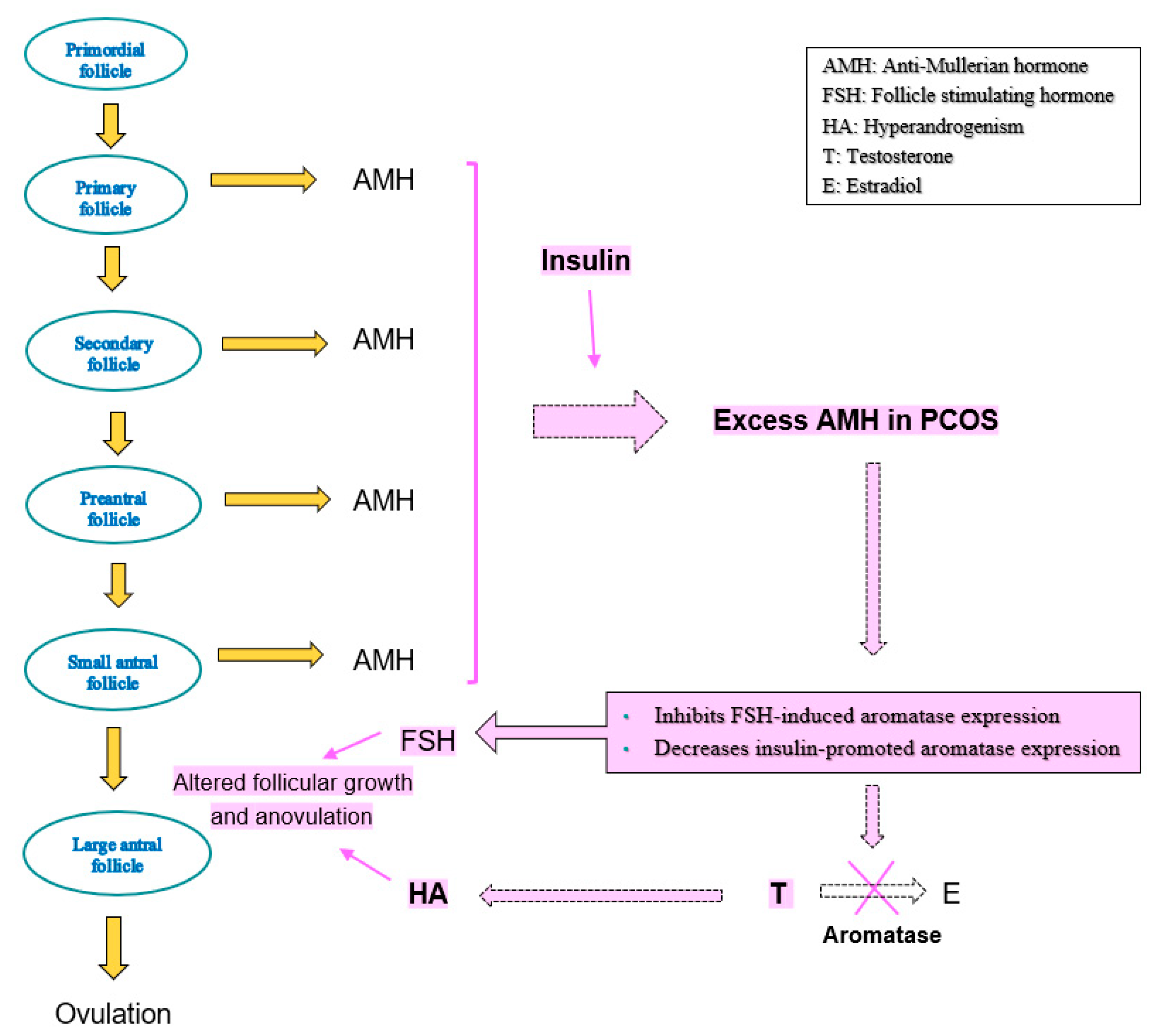 Diagnostics 13 00907 g003