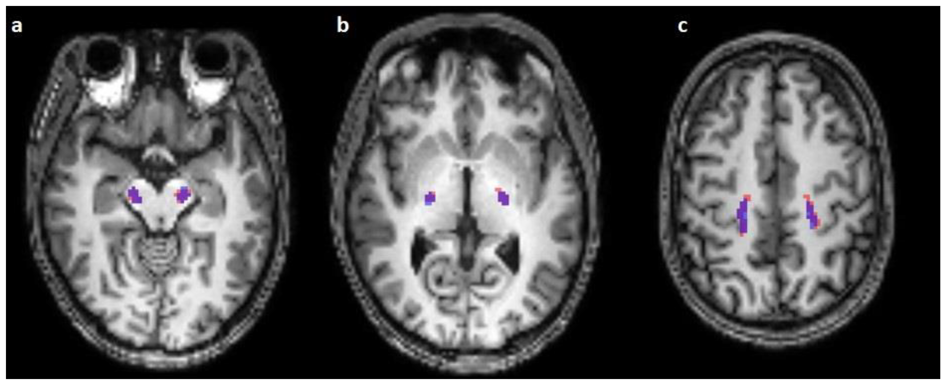 Diagnostics 13 00911 g001