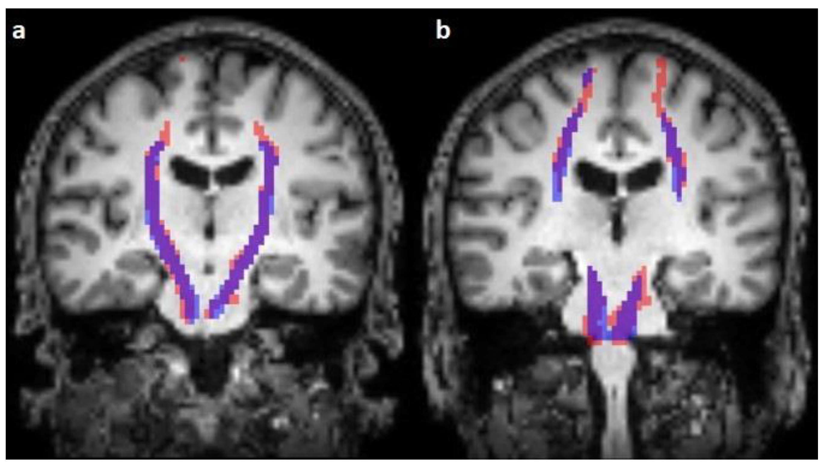 Diagnostics 13 00911 g002