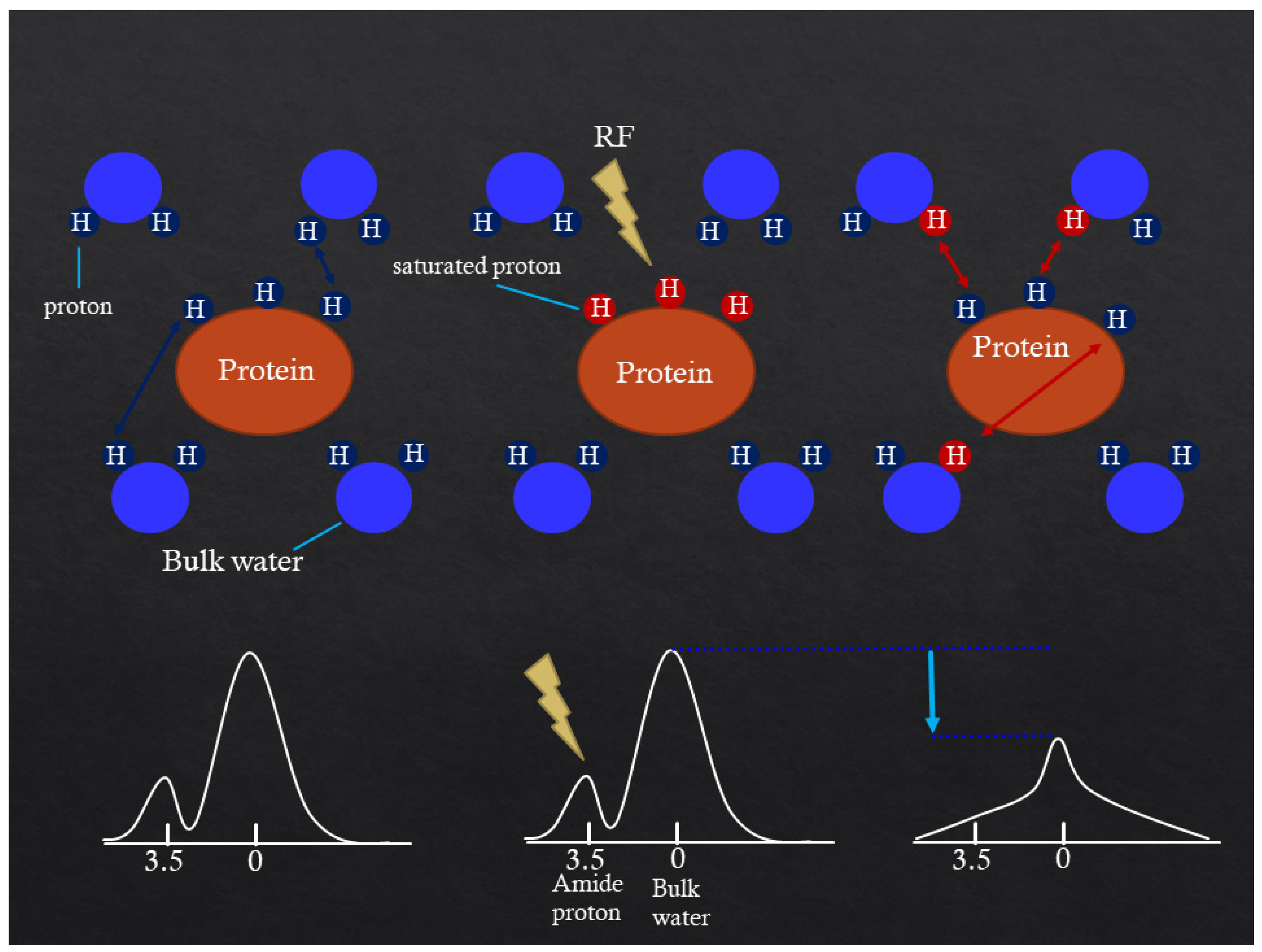 Diagnostics 13 00914 g001