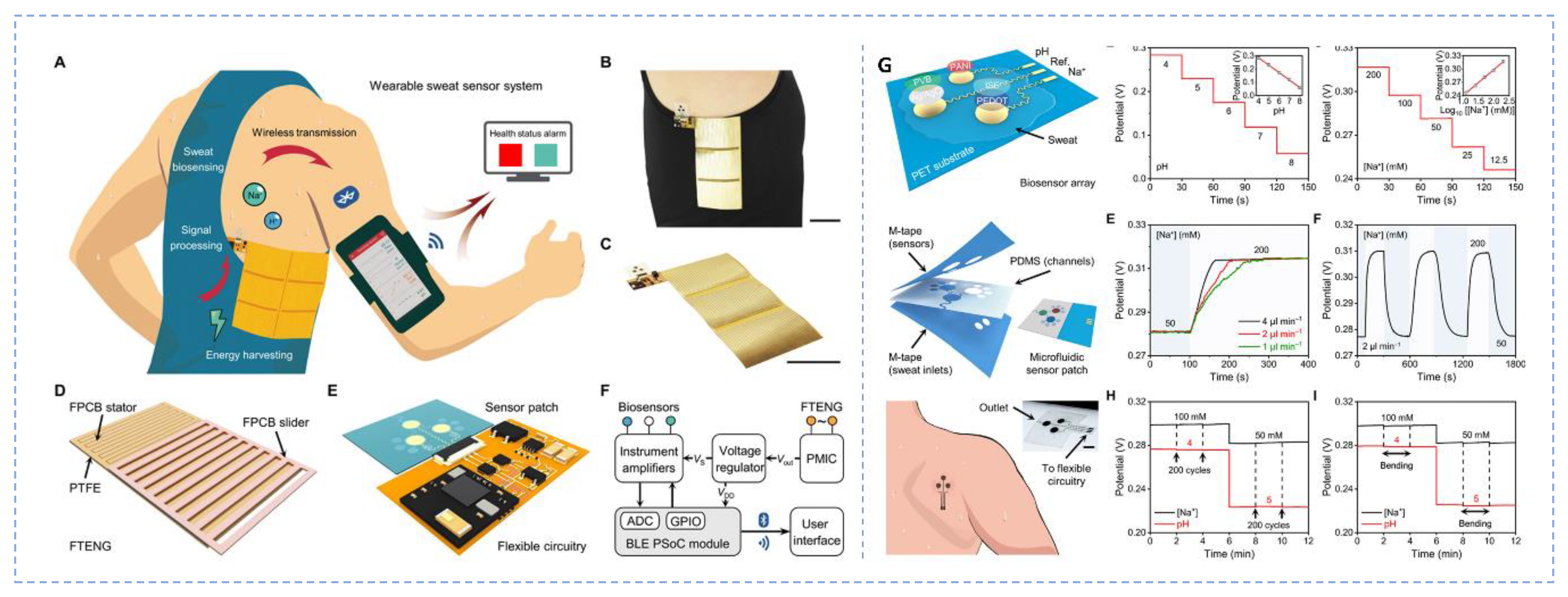 Diagnostics 13 00916 g001