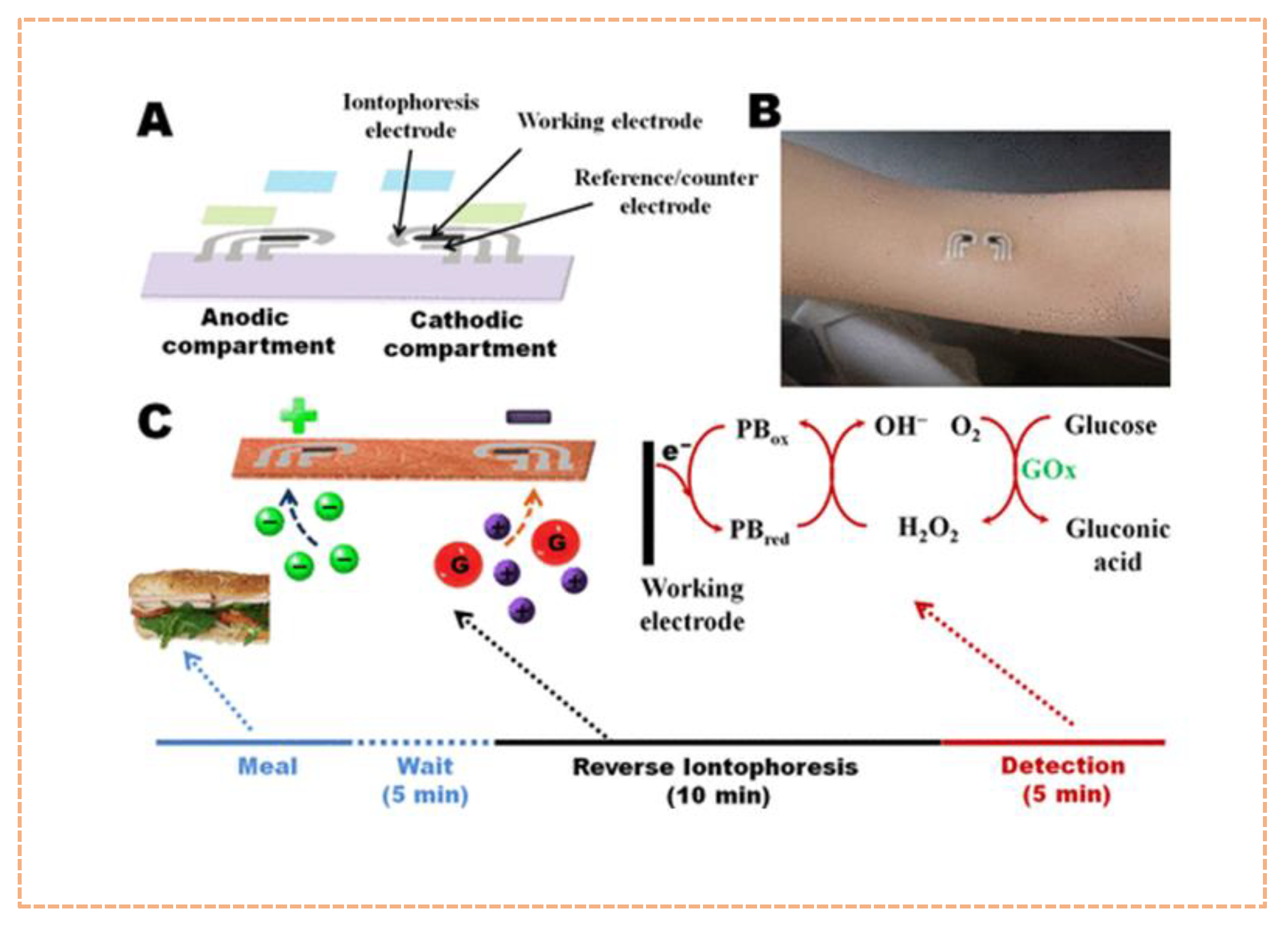 Diagnostics 13 00916 g002
