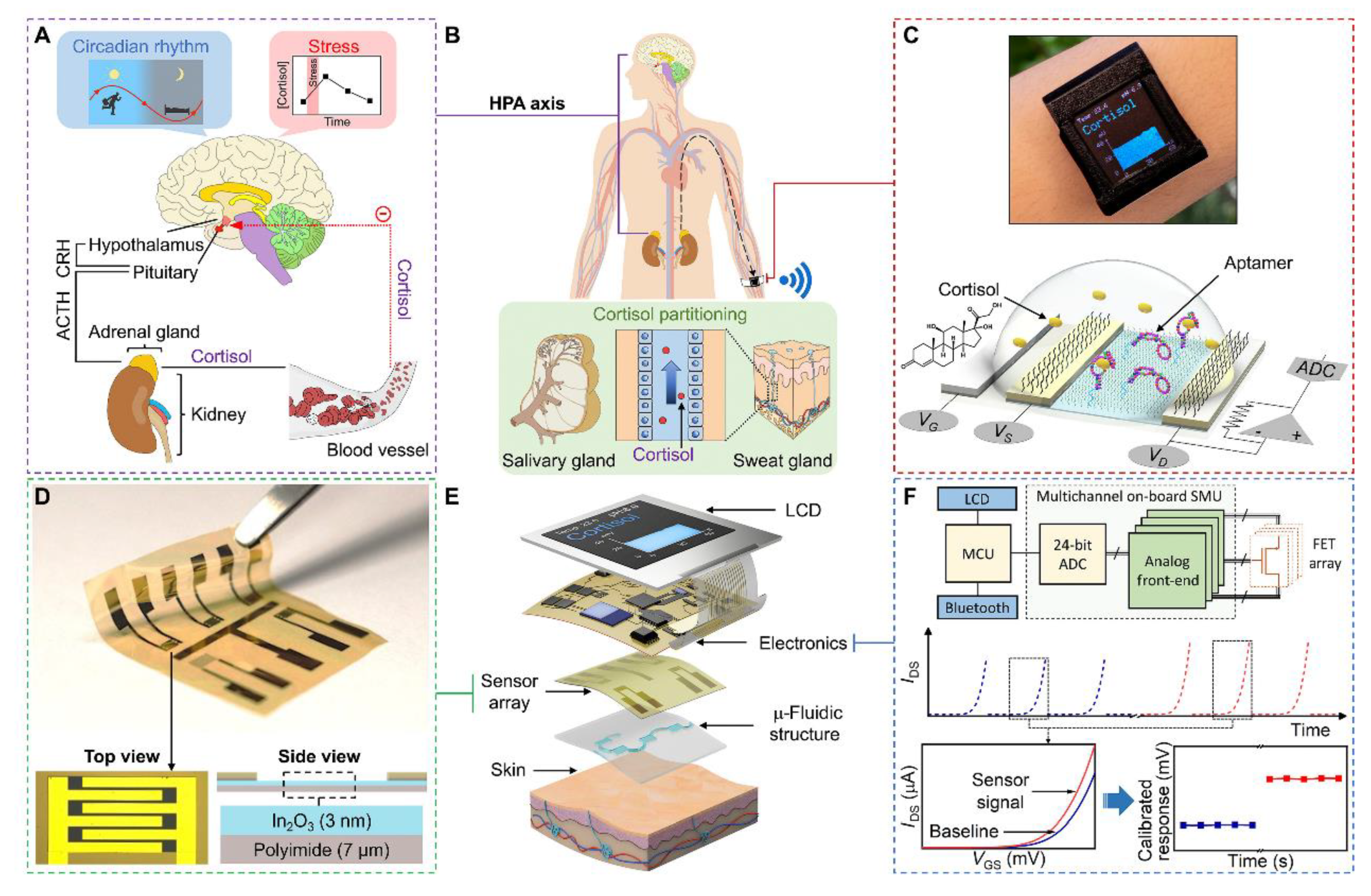 Diagnostics 13 00916 g003