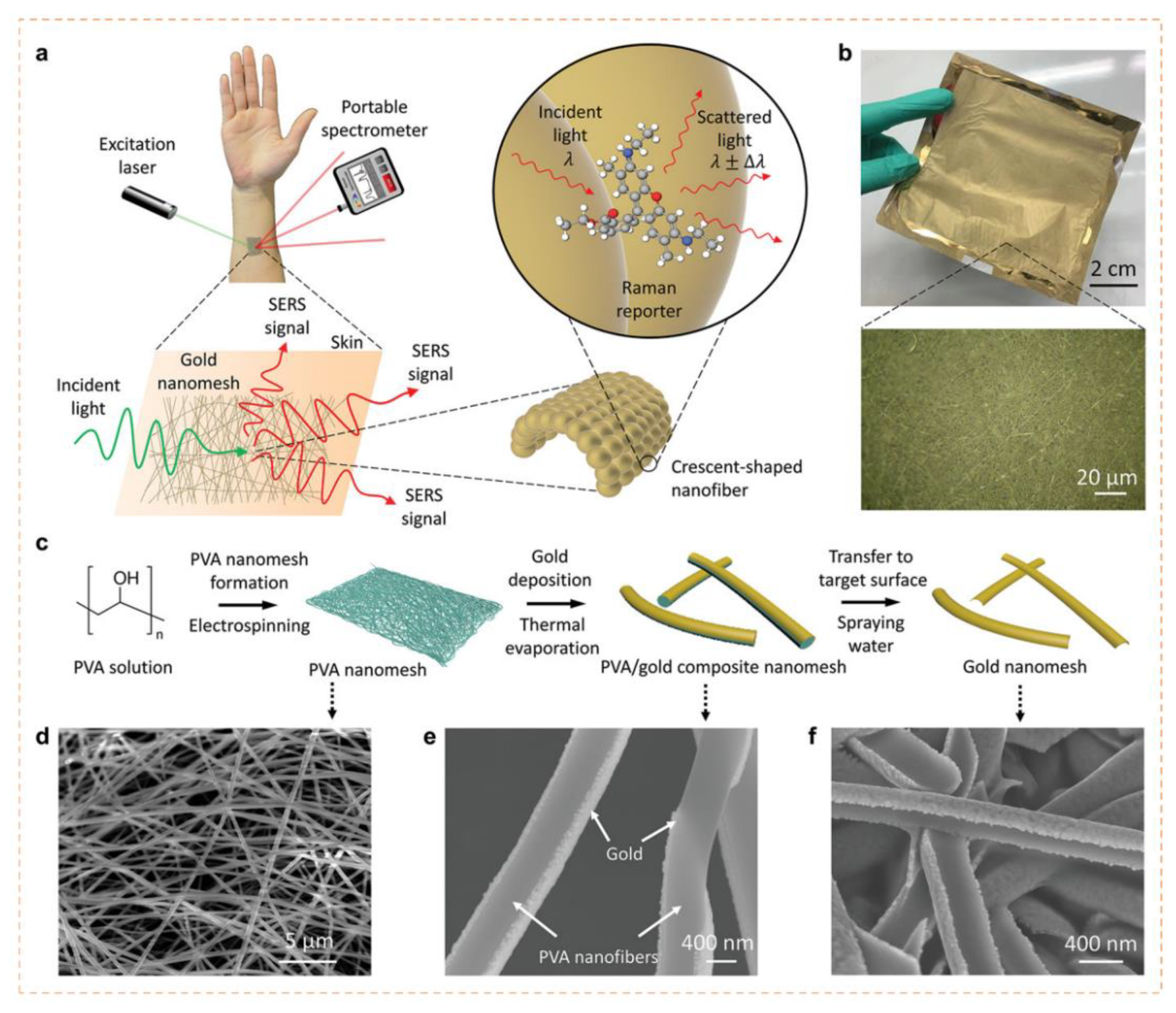 Diagnostics 13 00916 g004