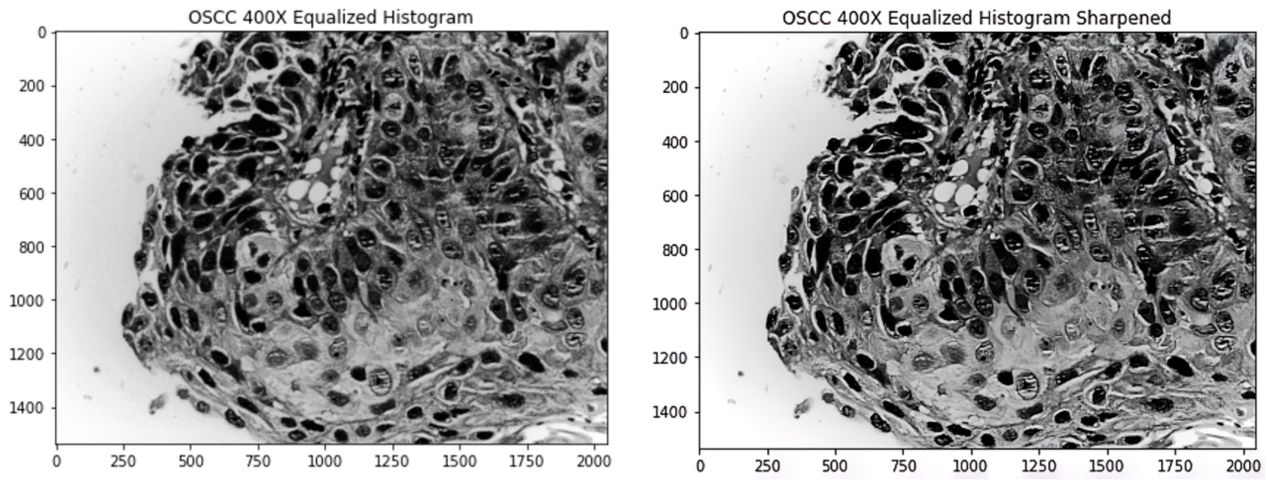 Diagnostics 13 00918 g003