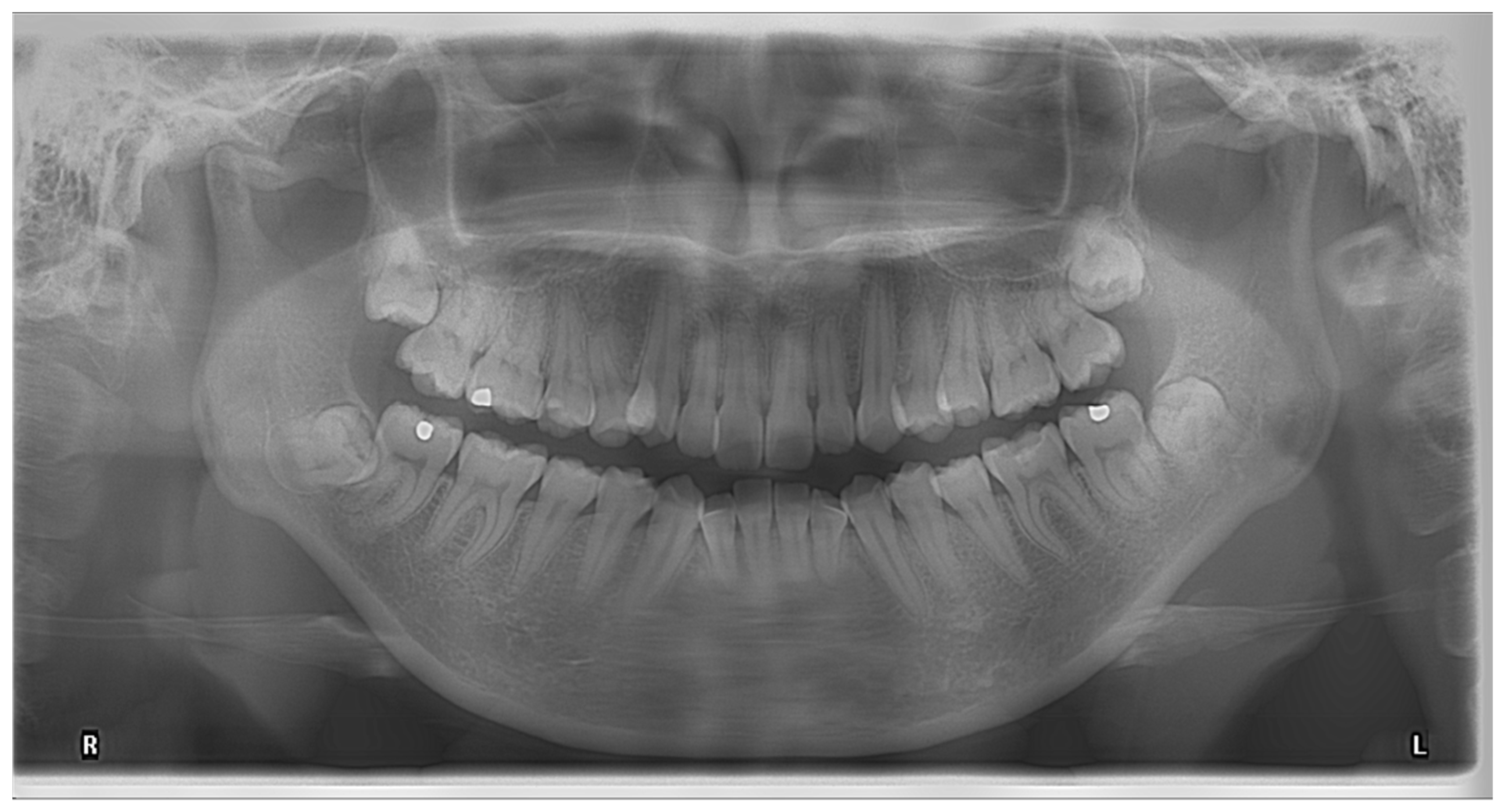 Diagnostics 13 00919 g001