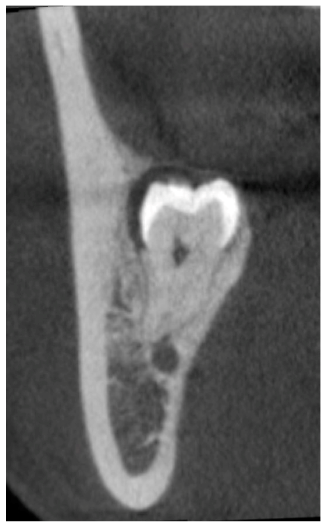 Diagnostics 13 00919 g002