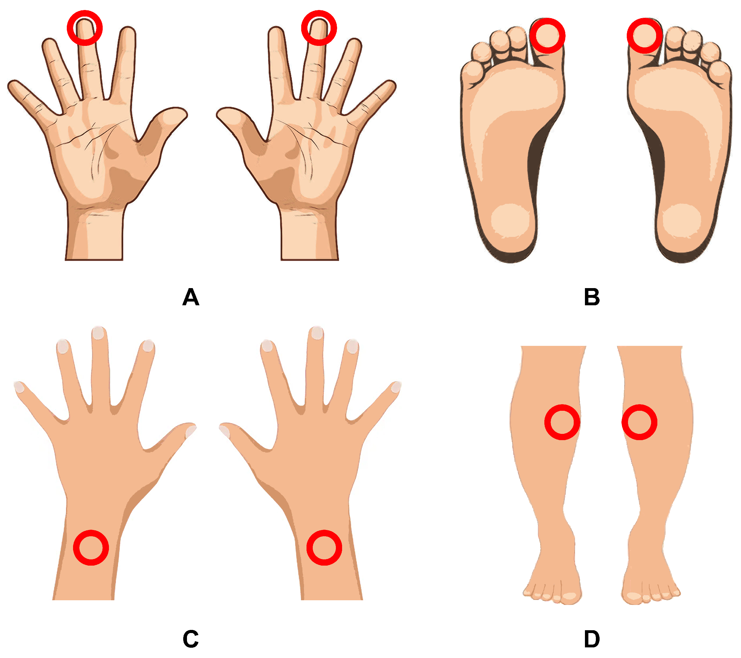 Diagnostics 13 00920 g002