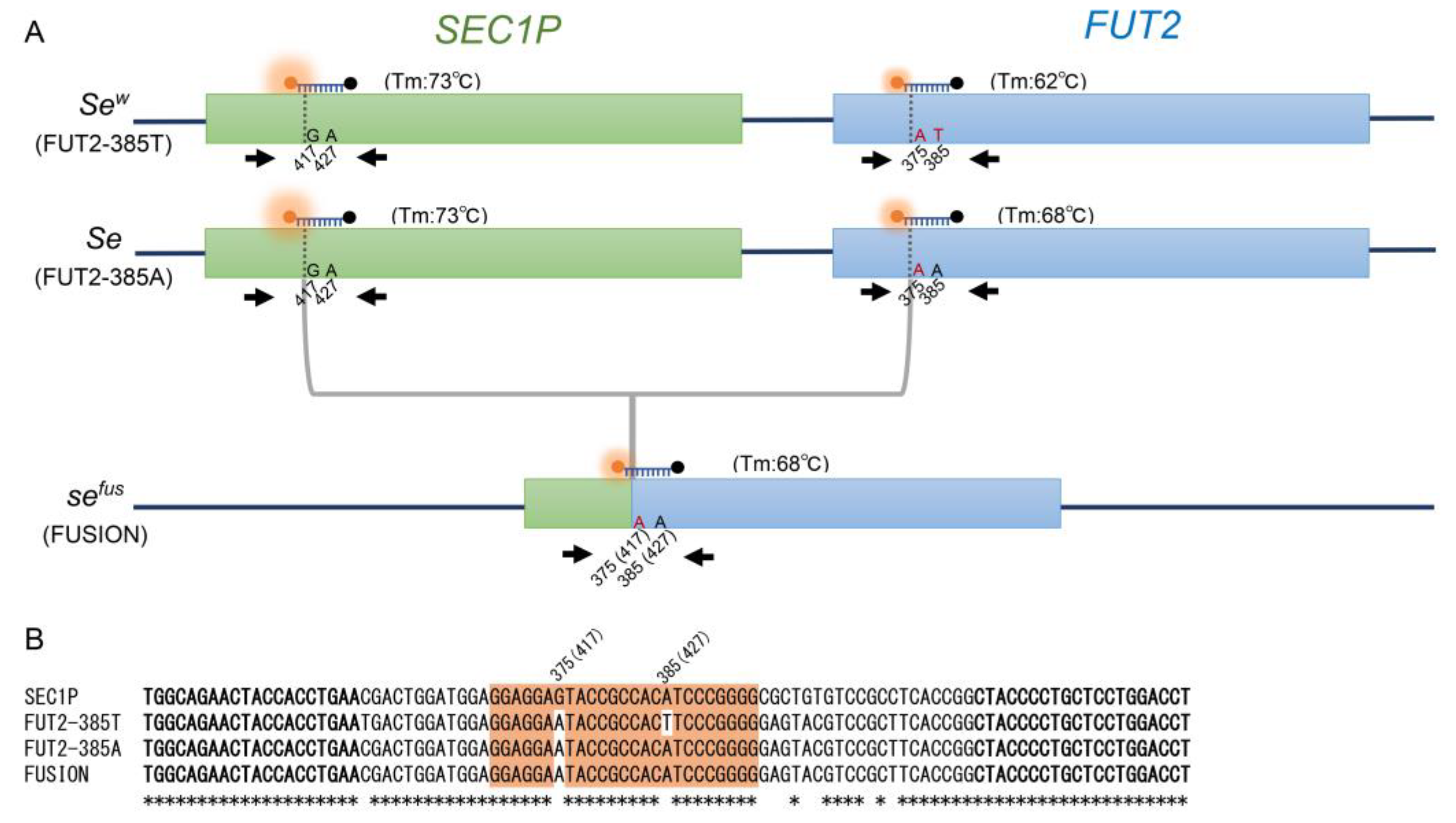 Diagnostics 13 00931 g001