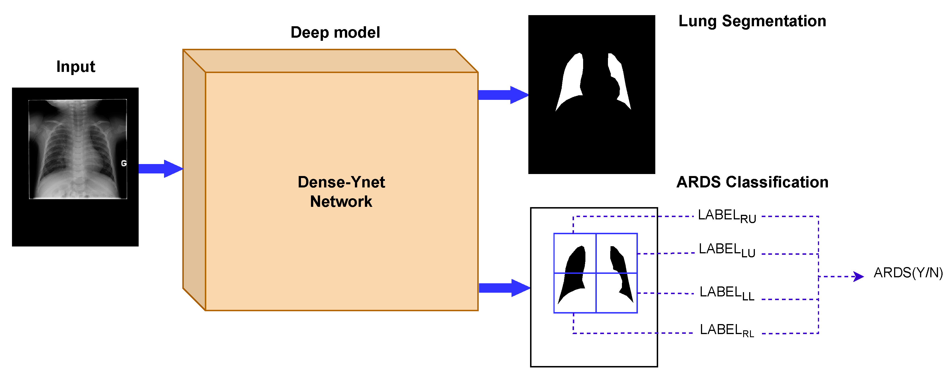 Diagnostics 13 00933 g002