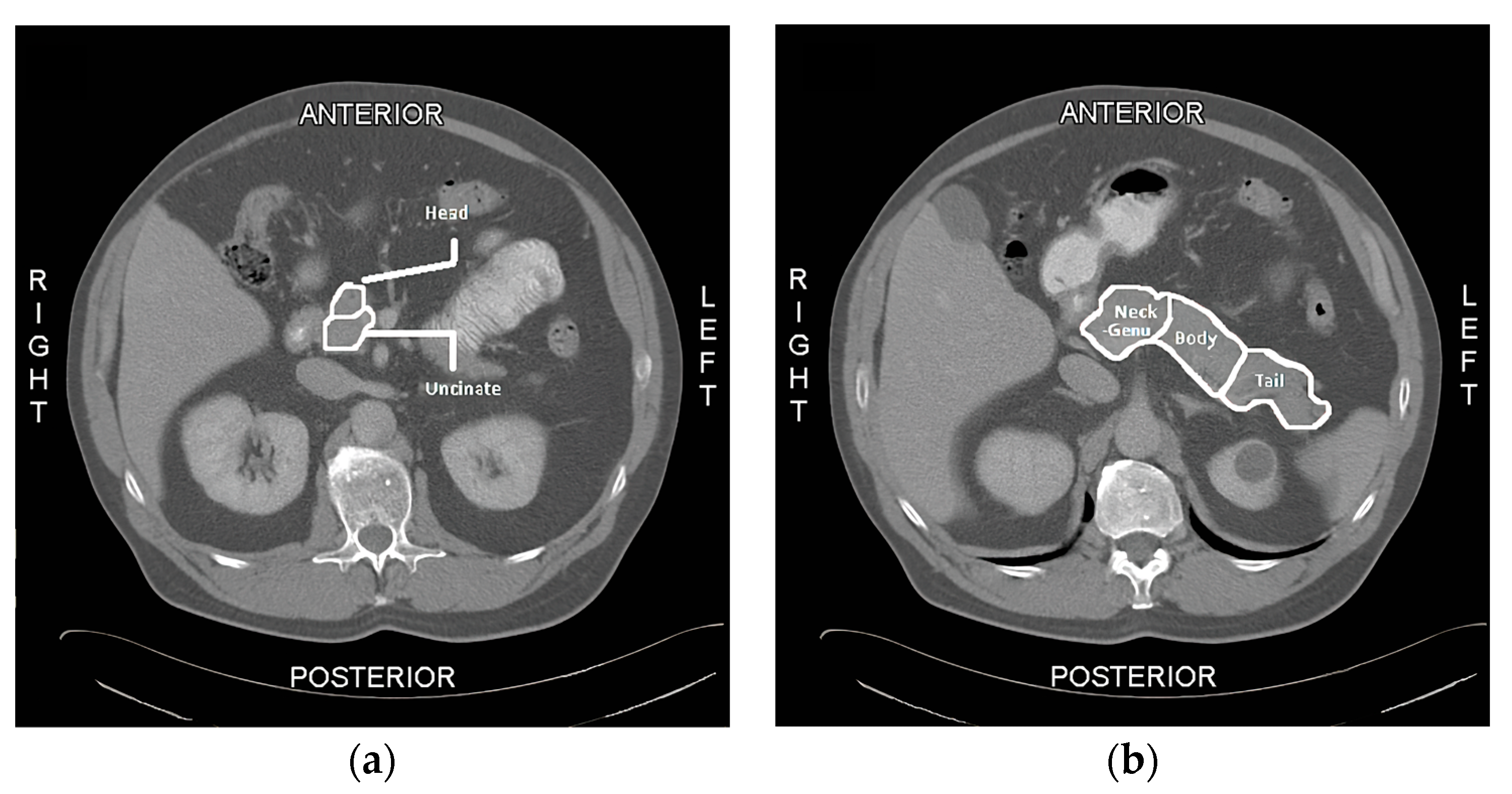 Diagnostics 13 00941 g001