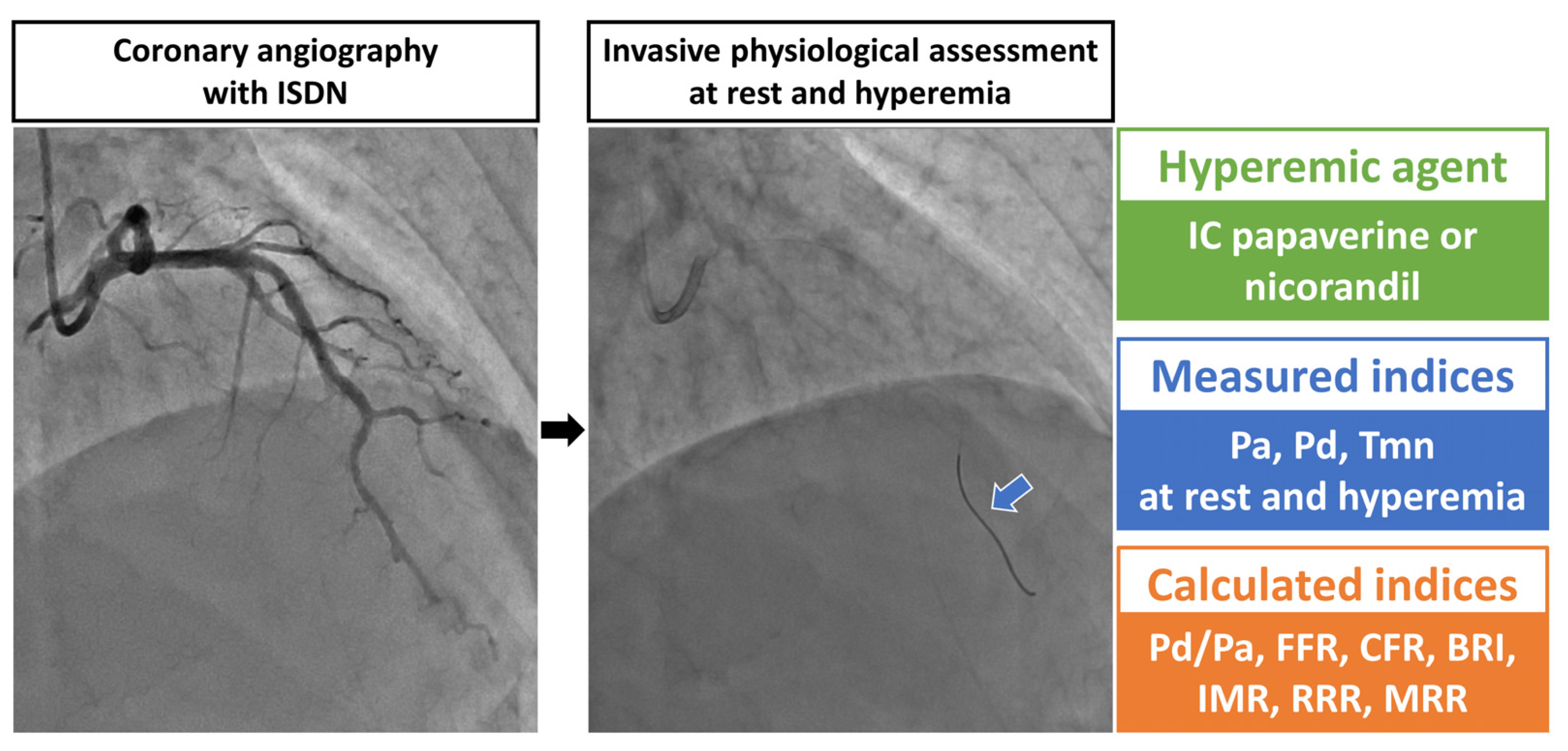 Diagnostics 13 00950 g001
