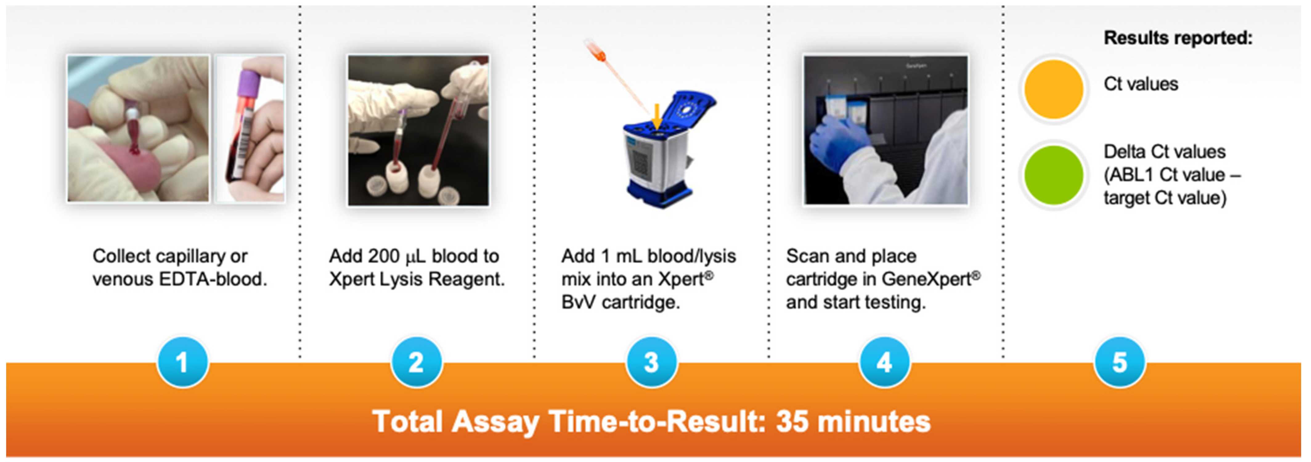 Diagnostics 13 00953 g001