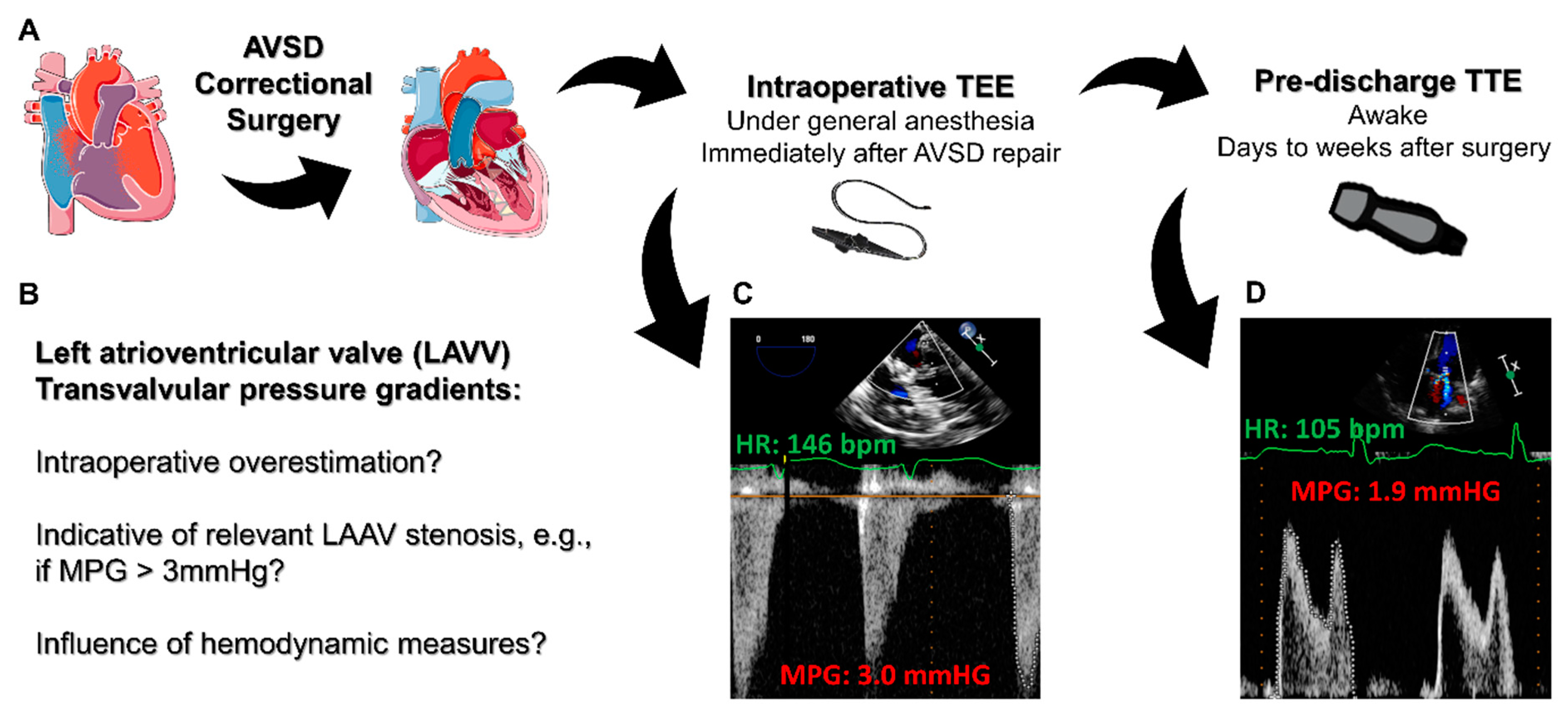 Diagnostics 13 00957 g001