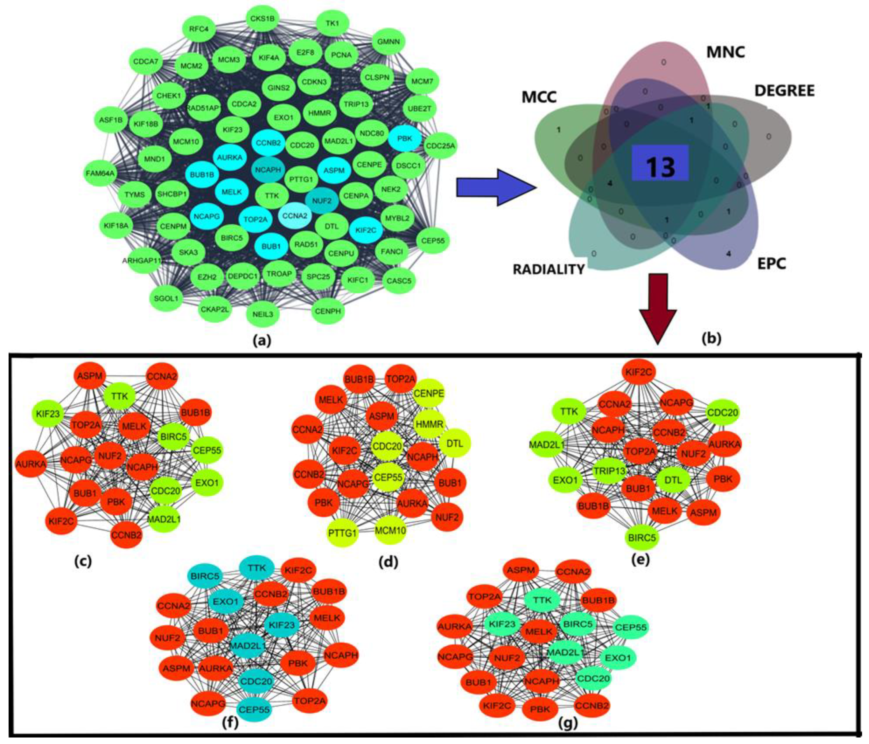 Diagnostics 13 00965 g002