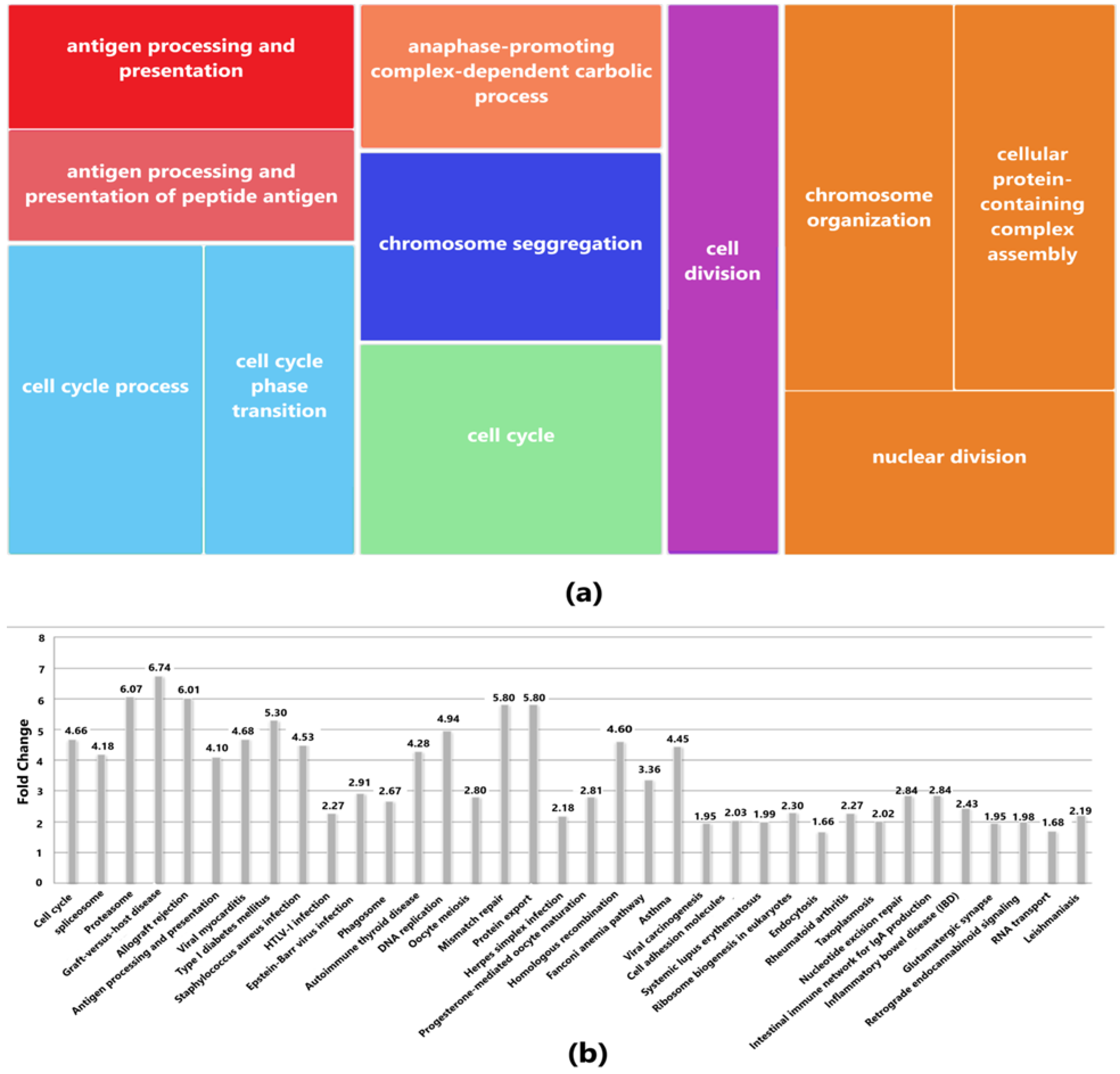 Diagnostics 13 00965 g003