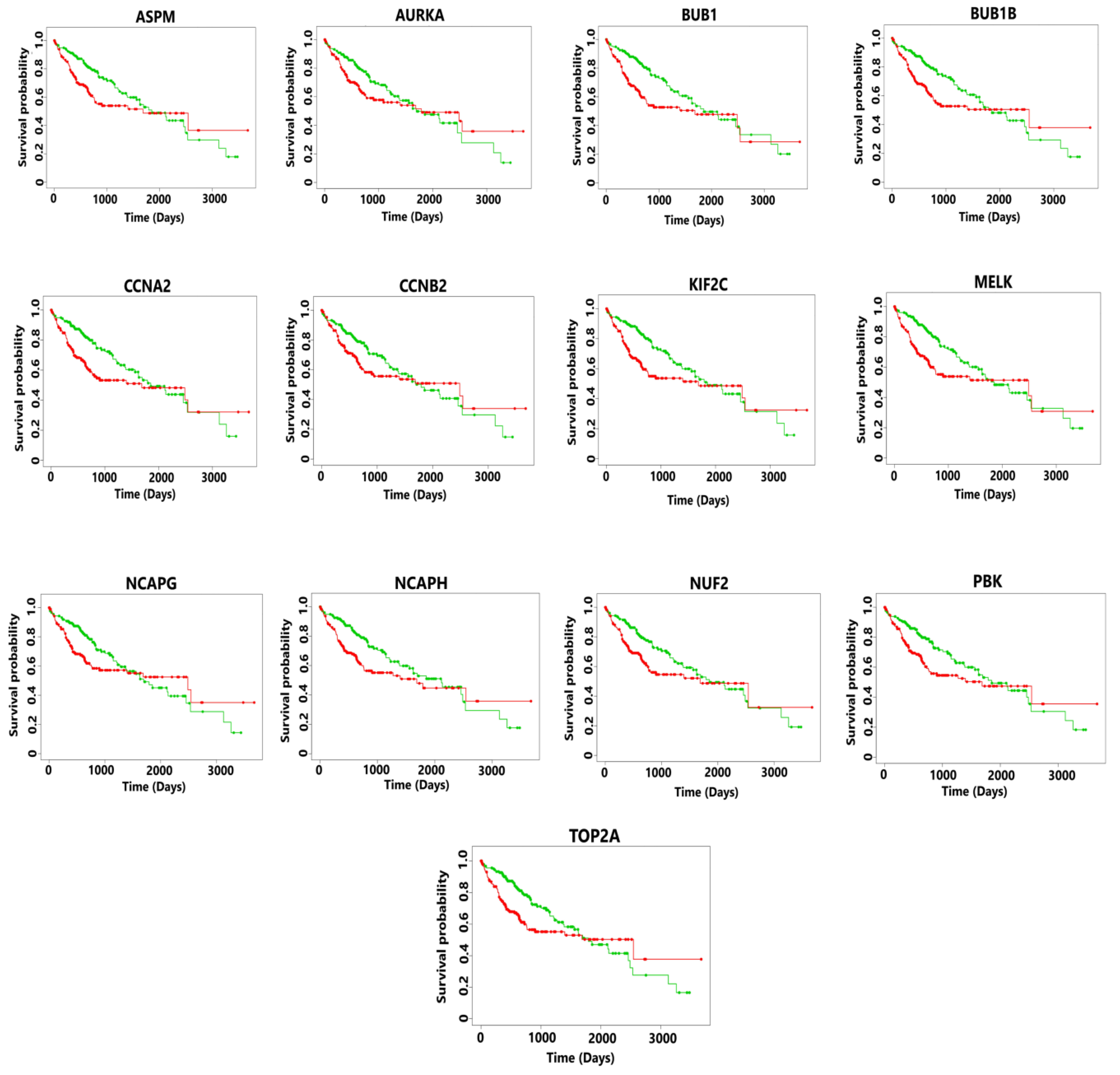 Diagnostics 13 00965 g005