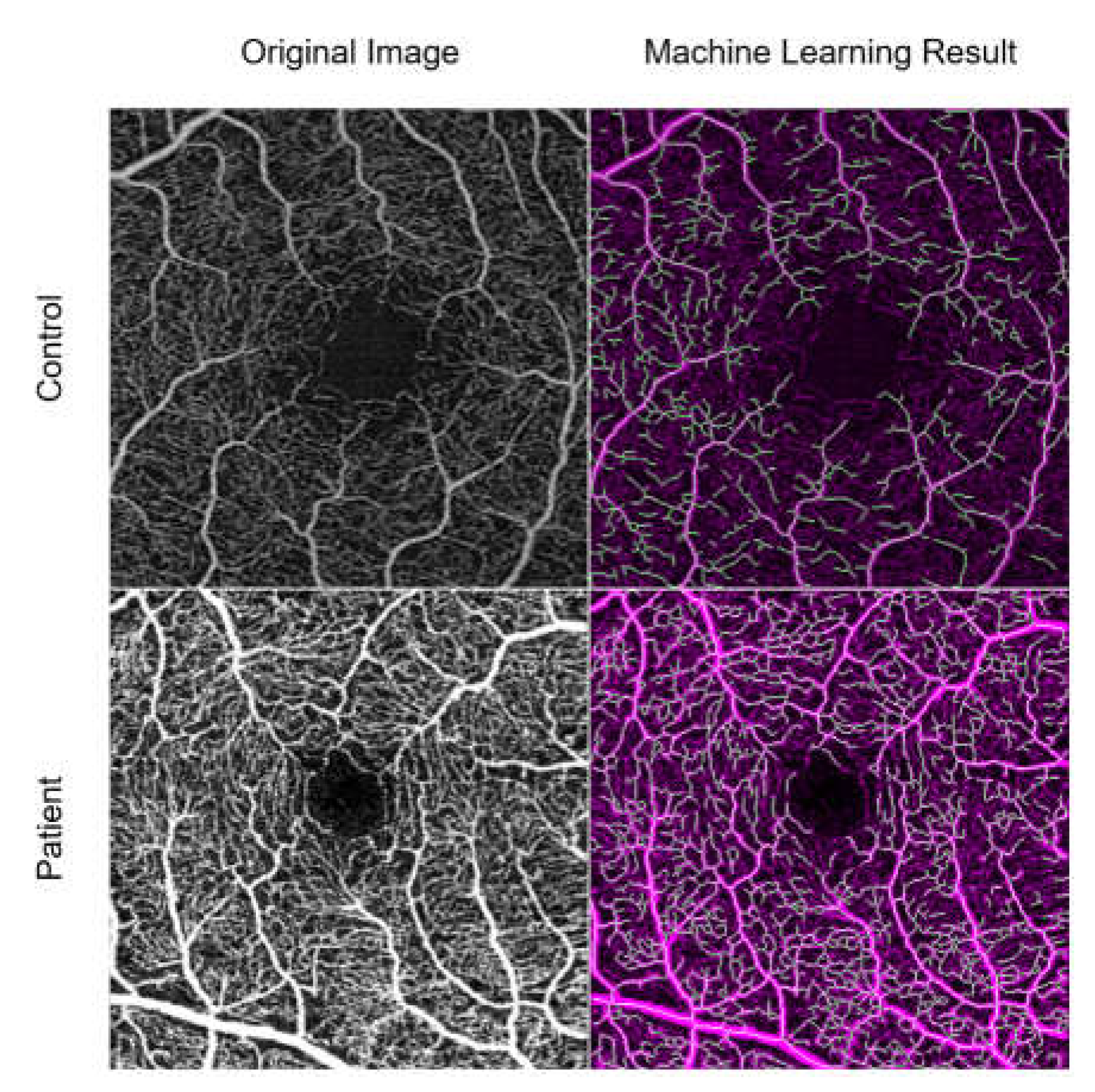 Diagnostics 13 00982 g003 Diagnostics 13 00982 g003