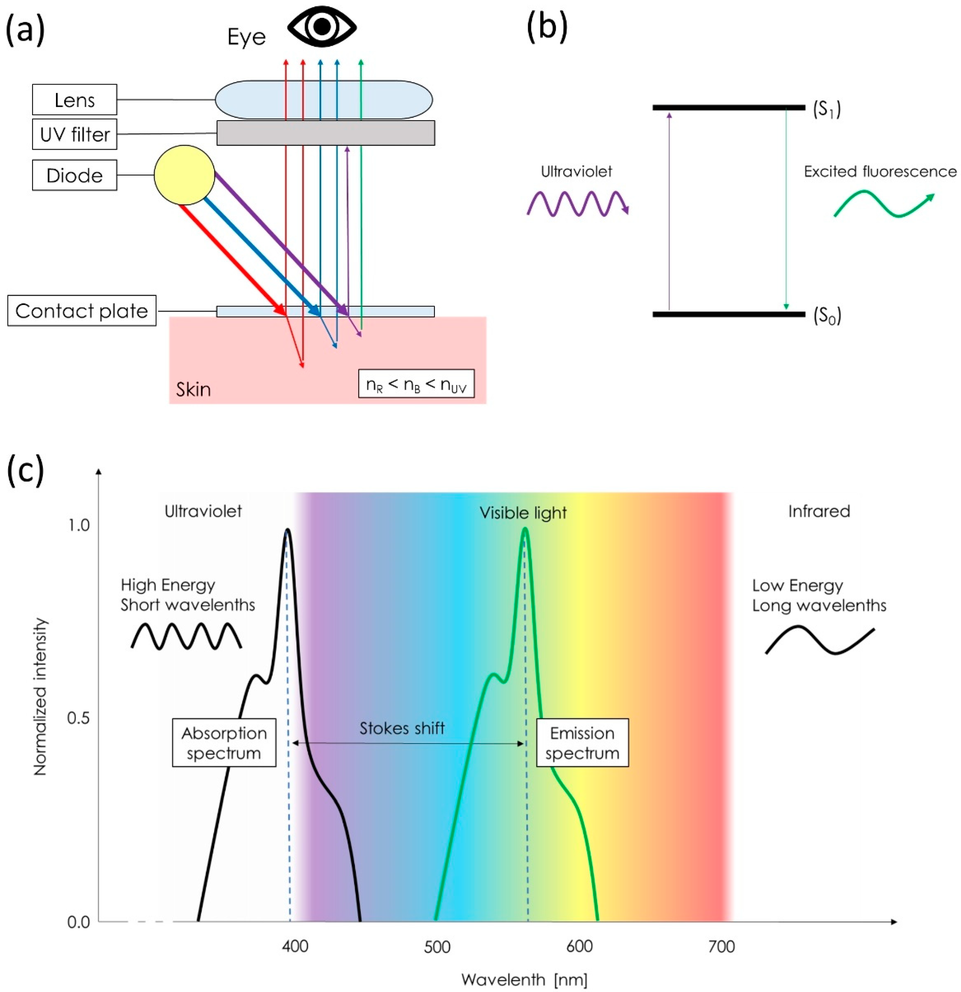 Diagnostics 13 00985 g001