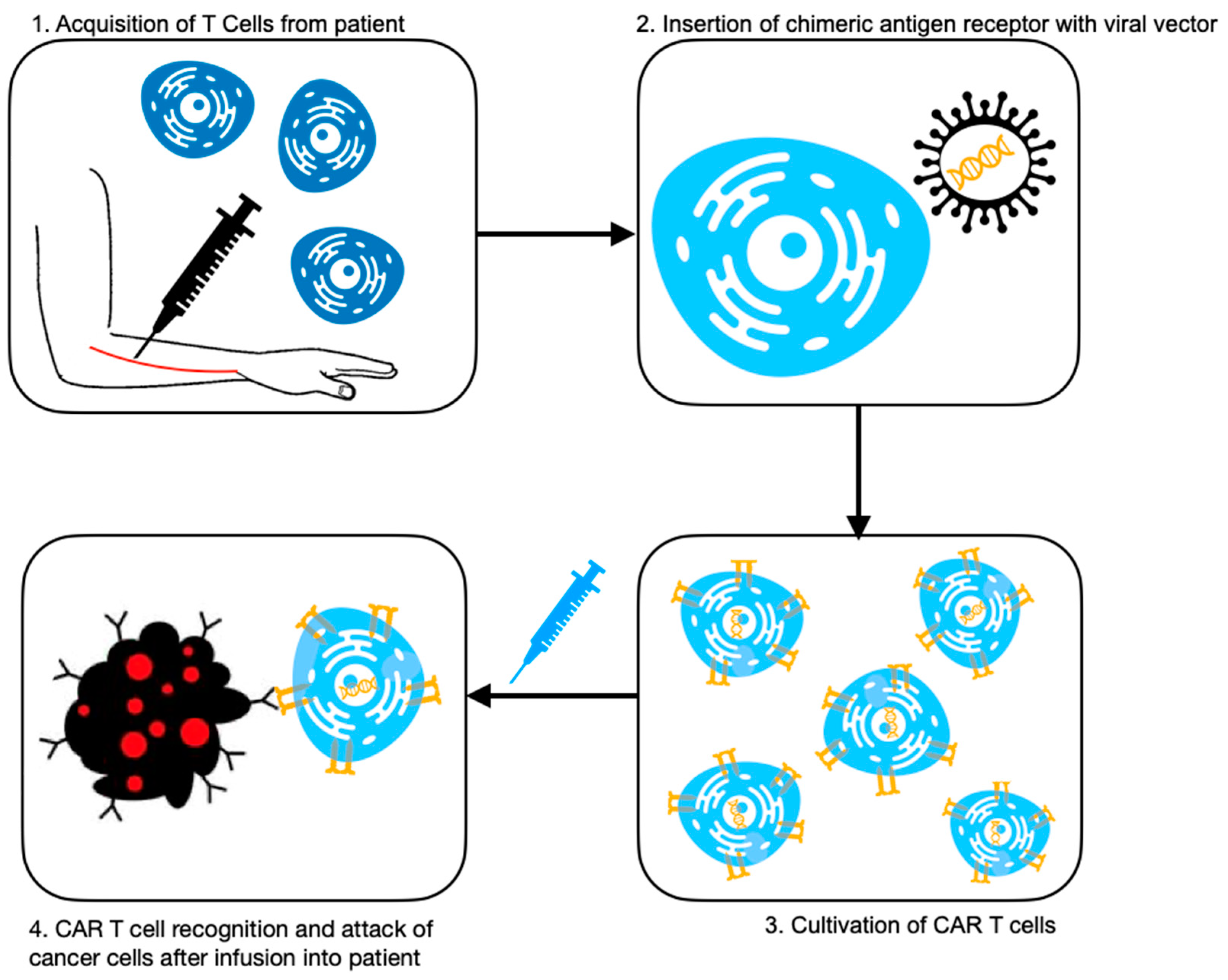 Diagnostics 13 00992 g001