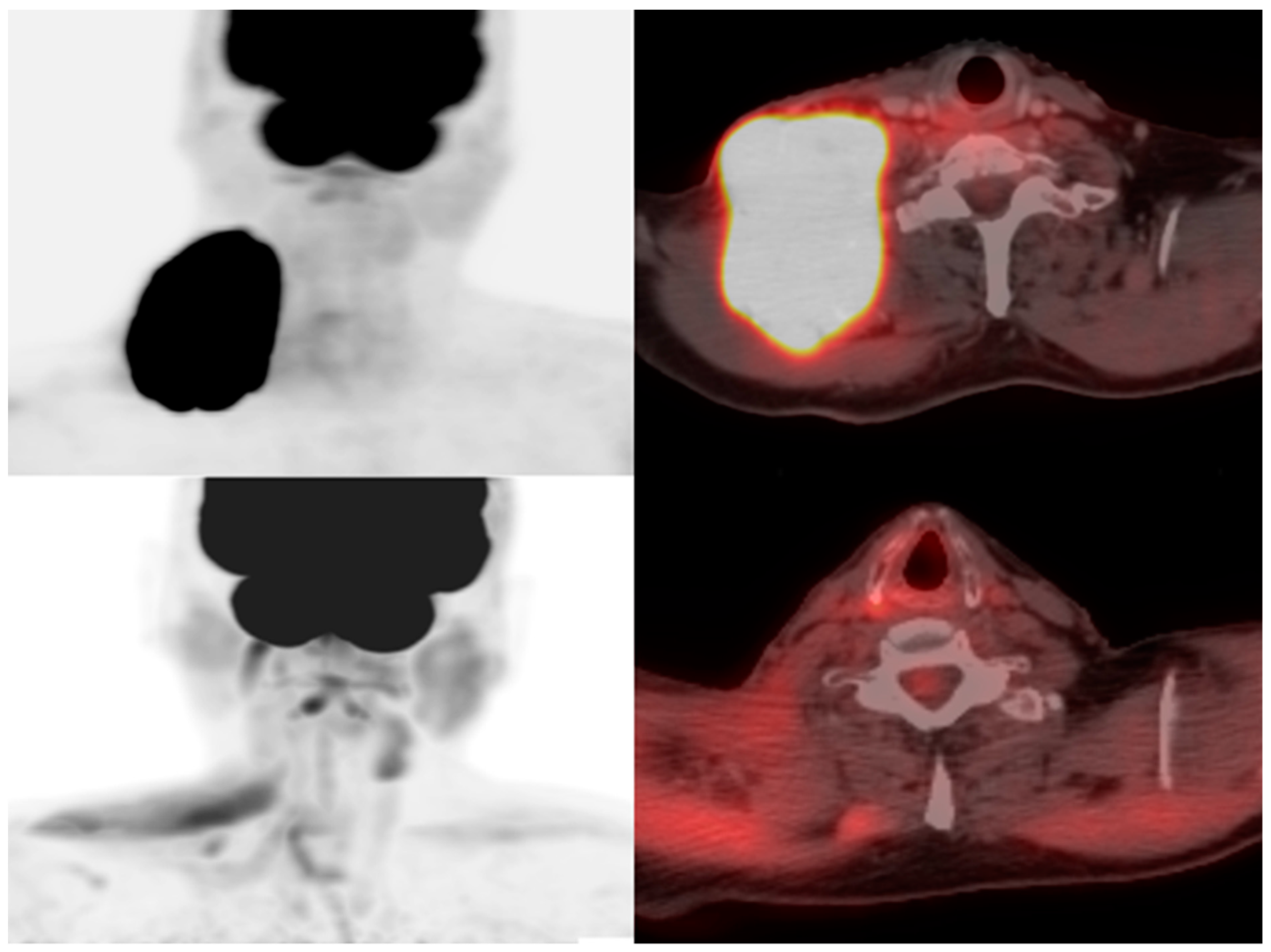Diagnostics 13 00992 g003