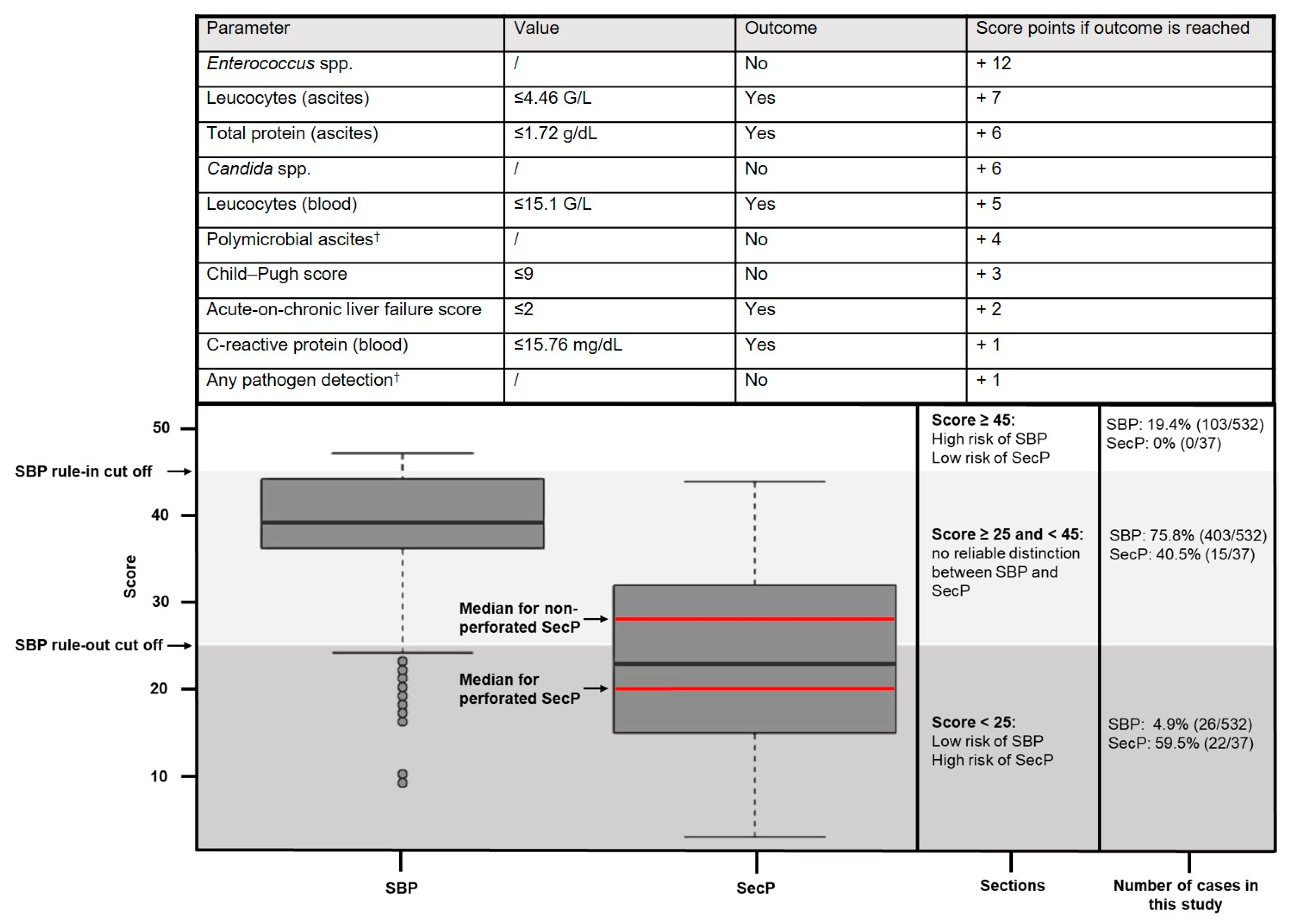 Diagnostics 13 00994 g003