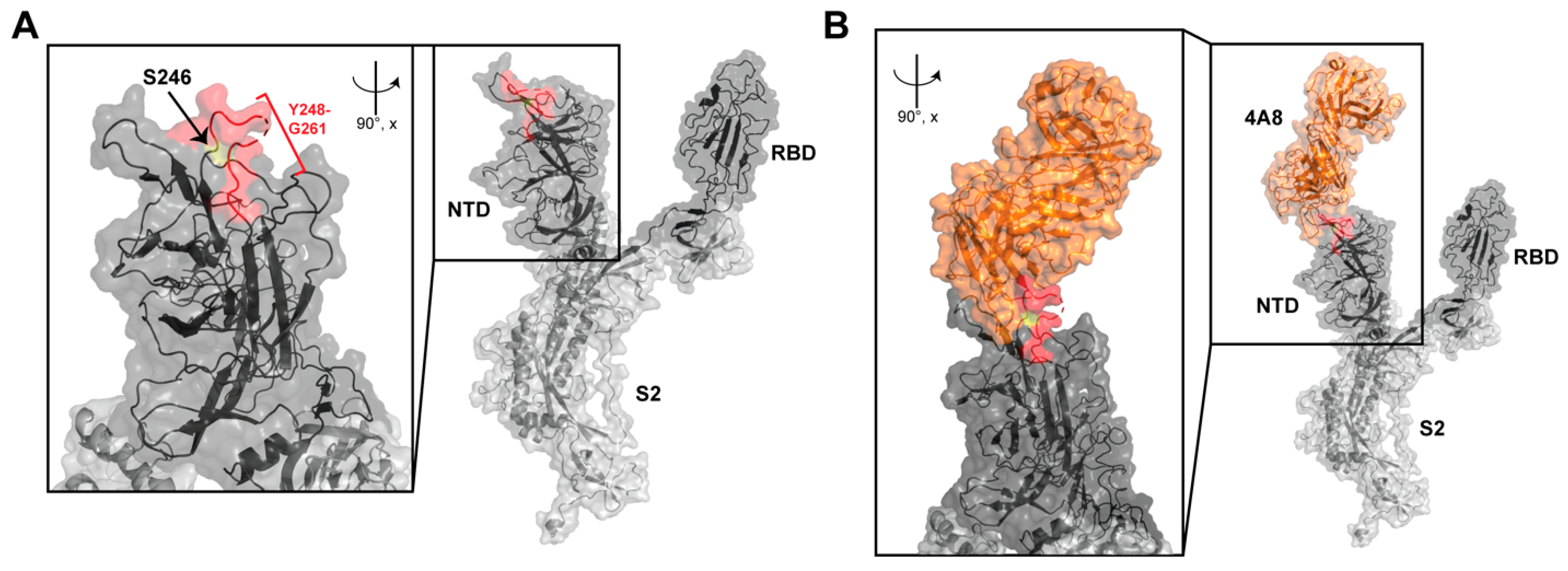 Diagnostics 13 01000 g003