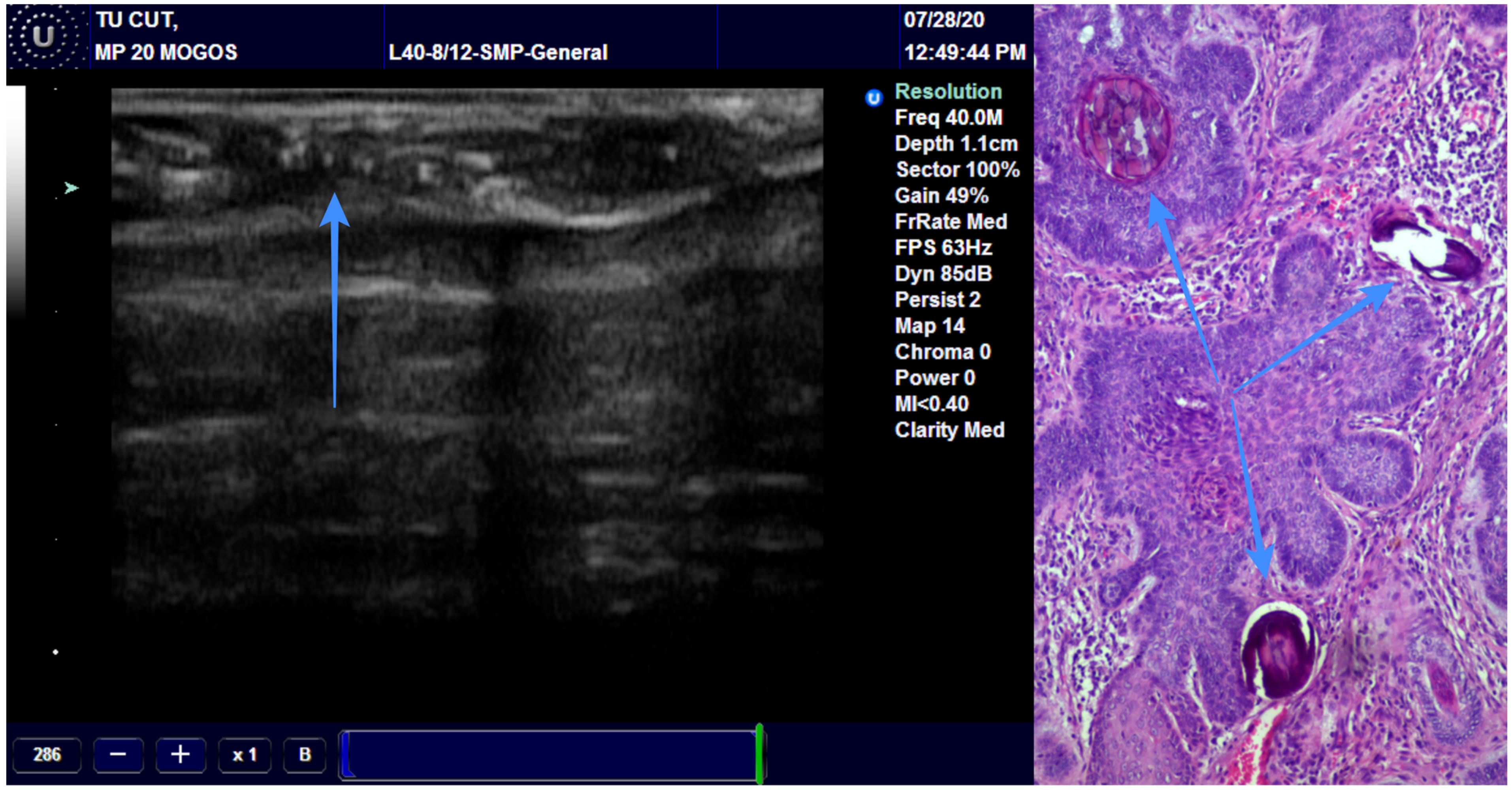 Diagnostics 13 01002 g004