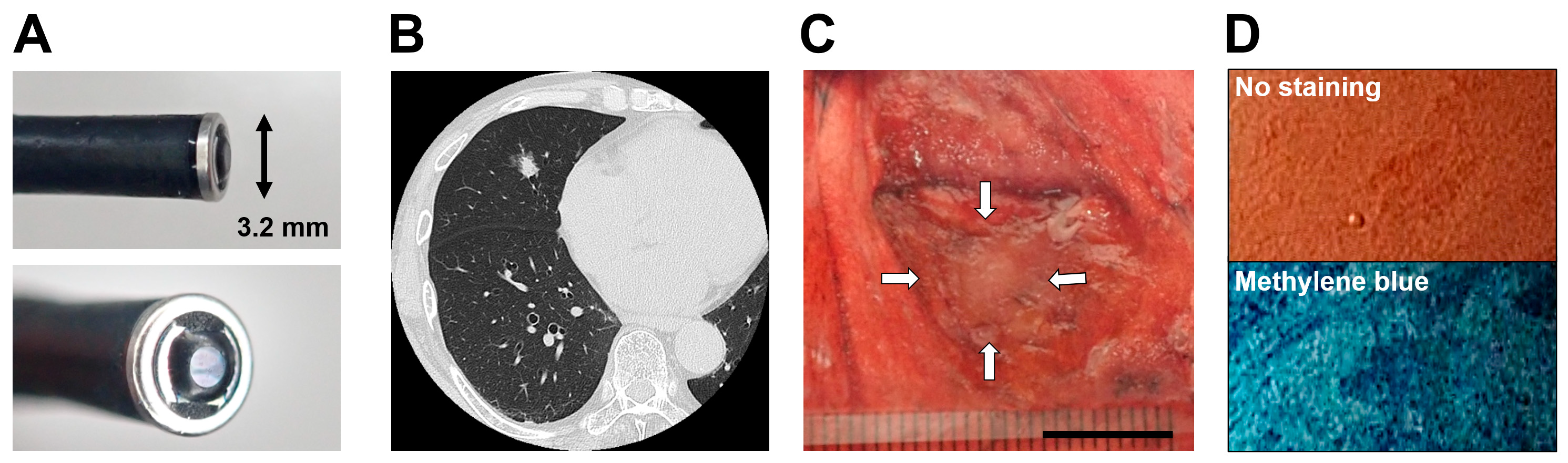 Diagnostics 13 01003 g001