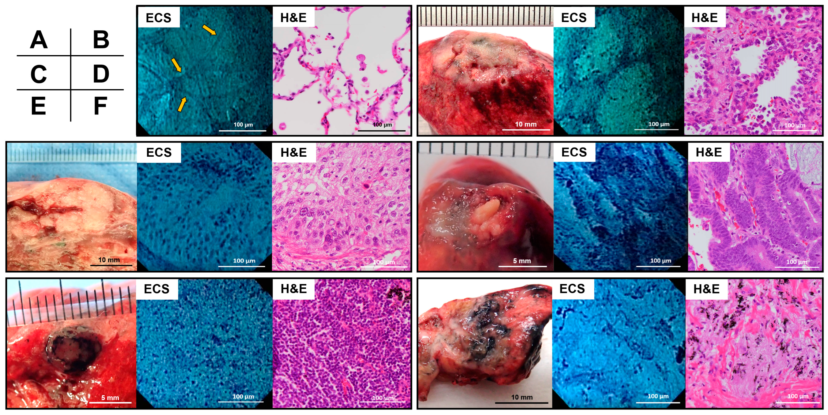 Diagnostics 13 01003 g003