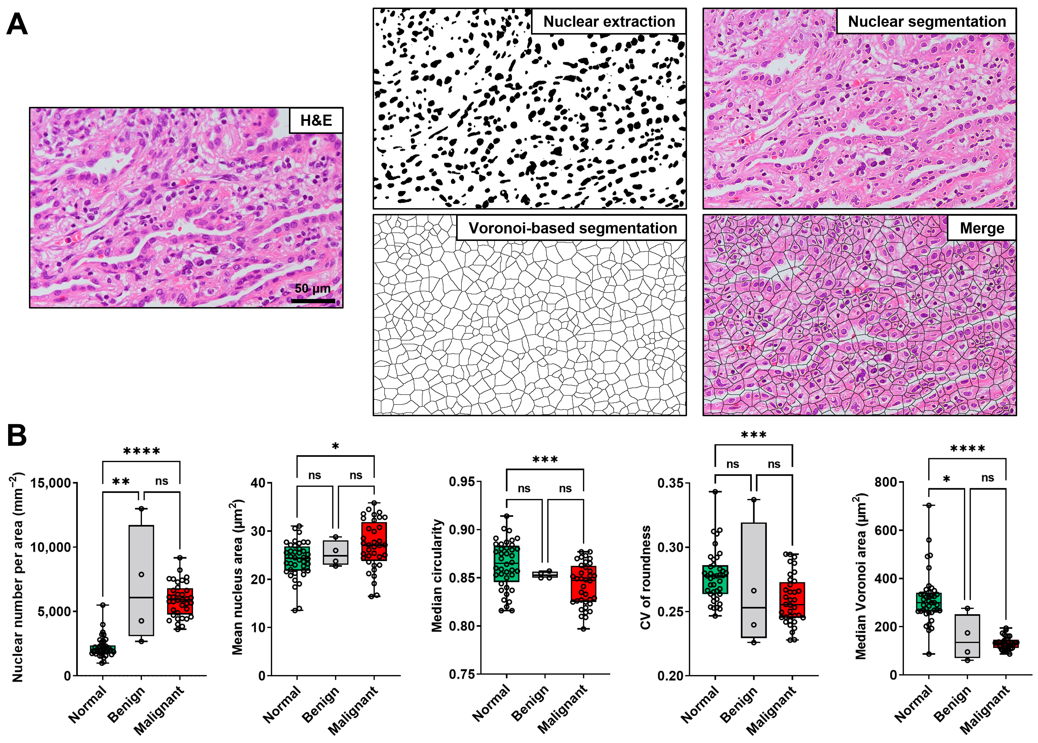 Diagnostics 13 01003 g004