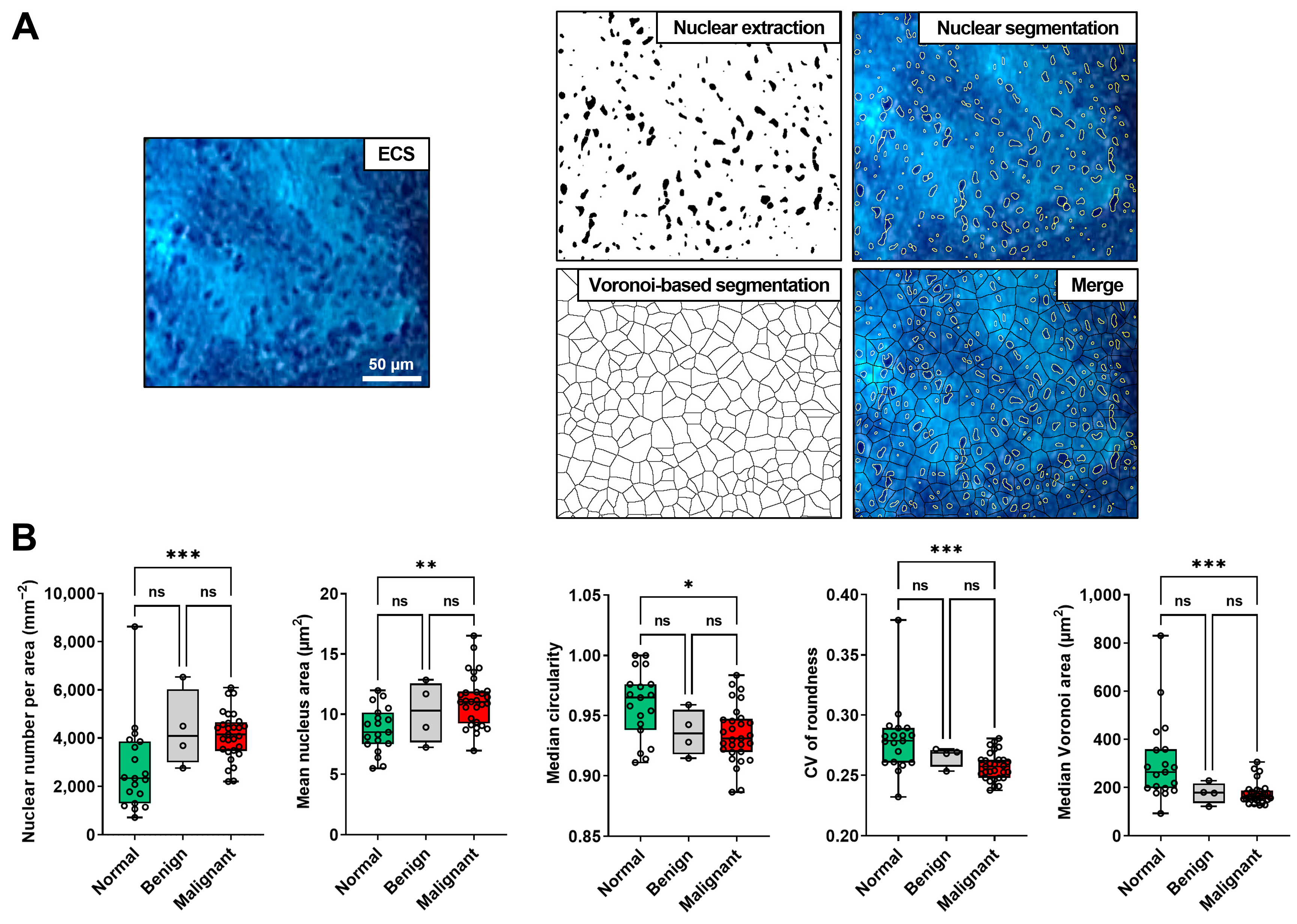 Diagnostics 13 01003 g005