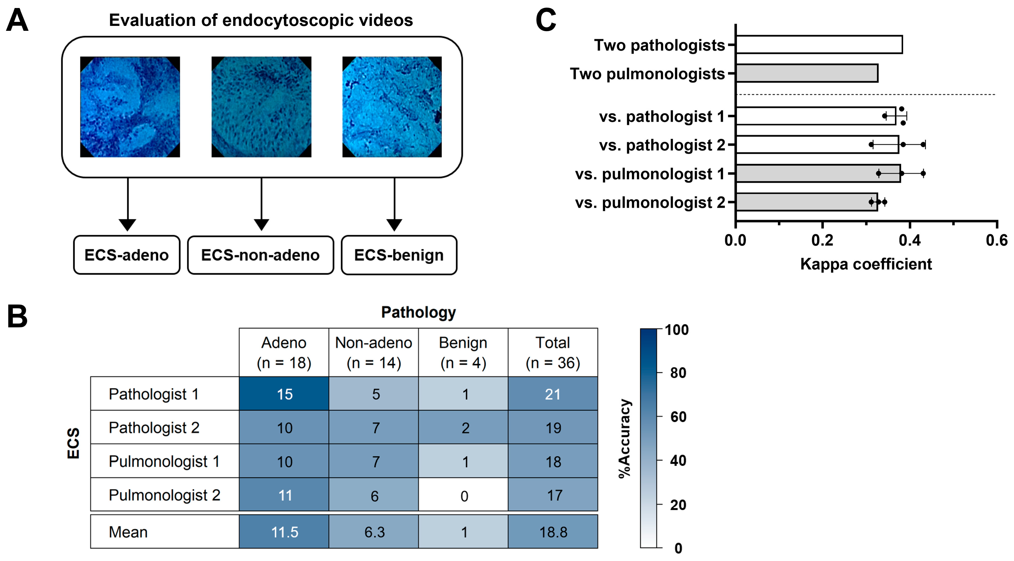 Diagnostics 13 01003 g007
