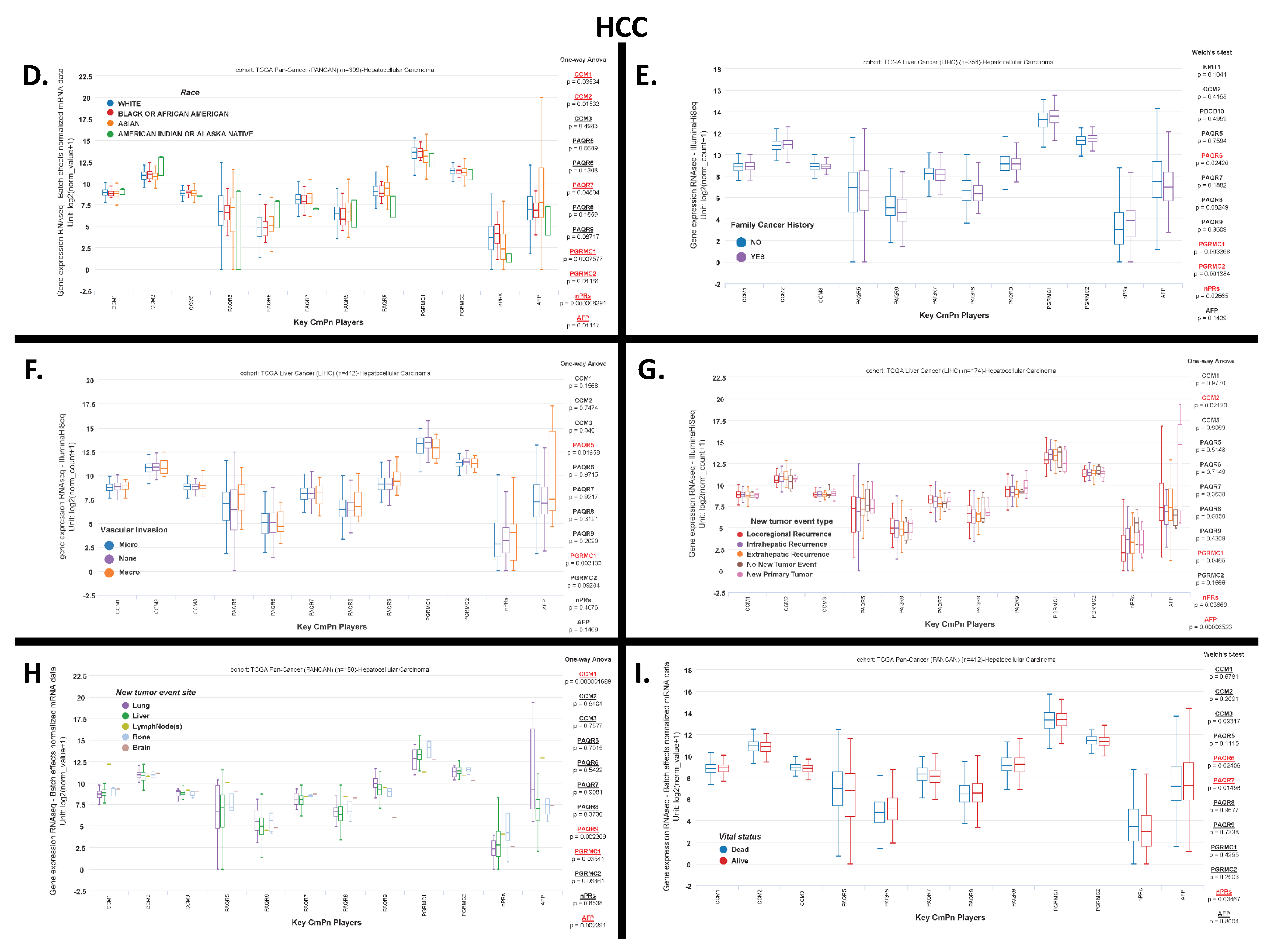 Diagnostics 13 01012 g003b Diagnostics 13 01012 g003b